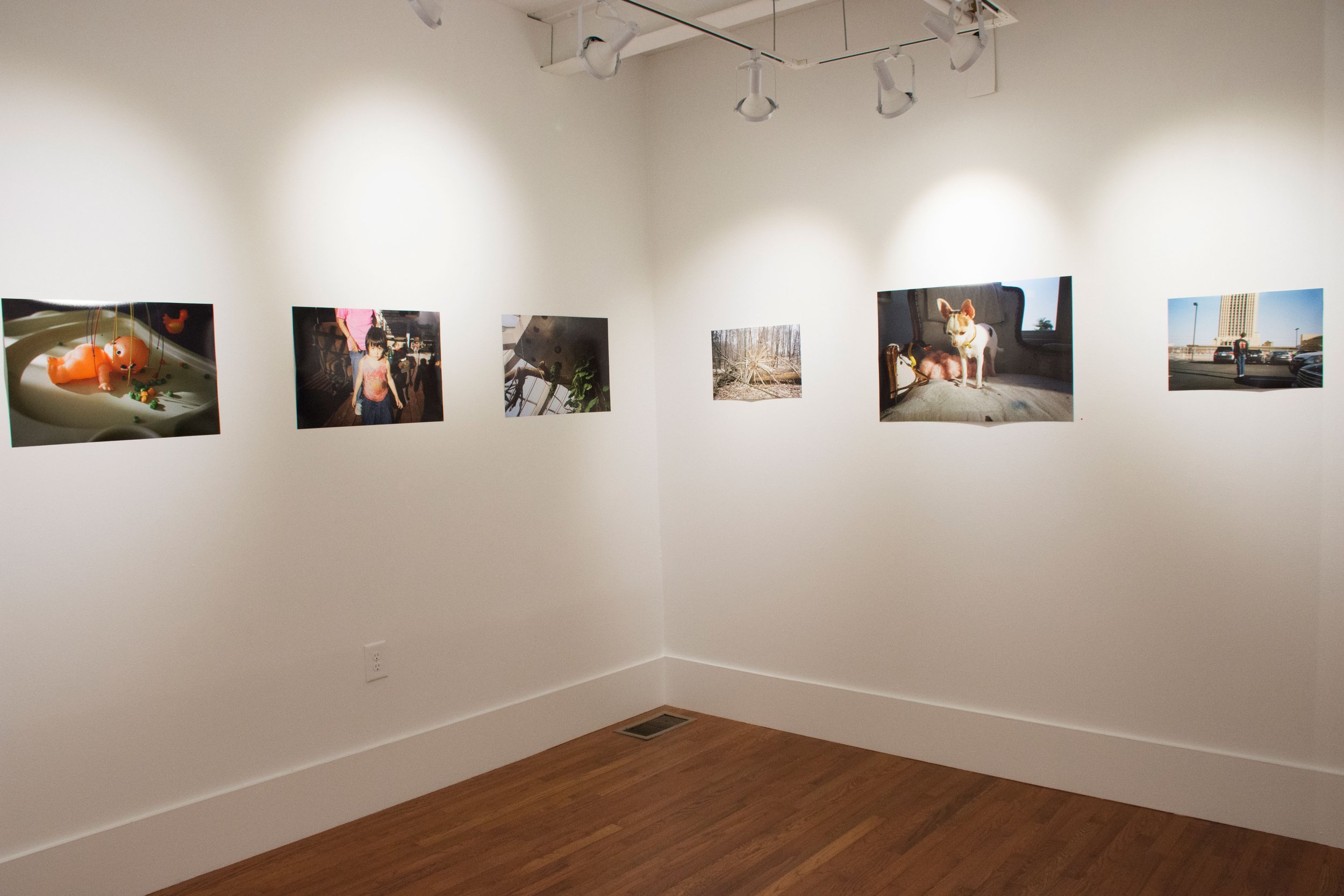 Installation view,  Pooky! , 2016