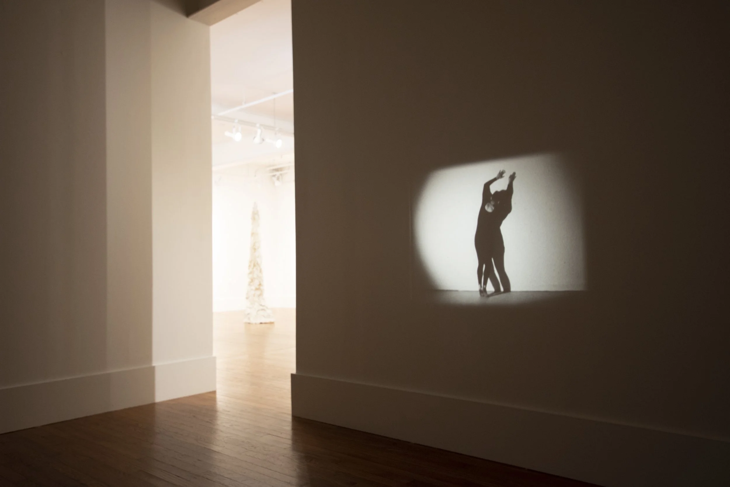 Installation view,  Gina Osterloh + Brie Ruais , 2018