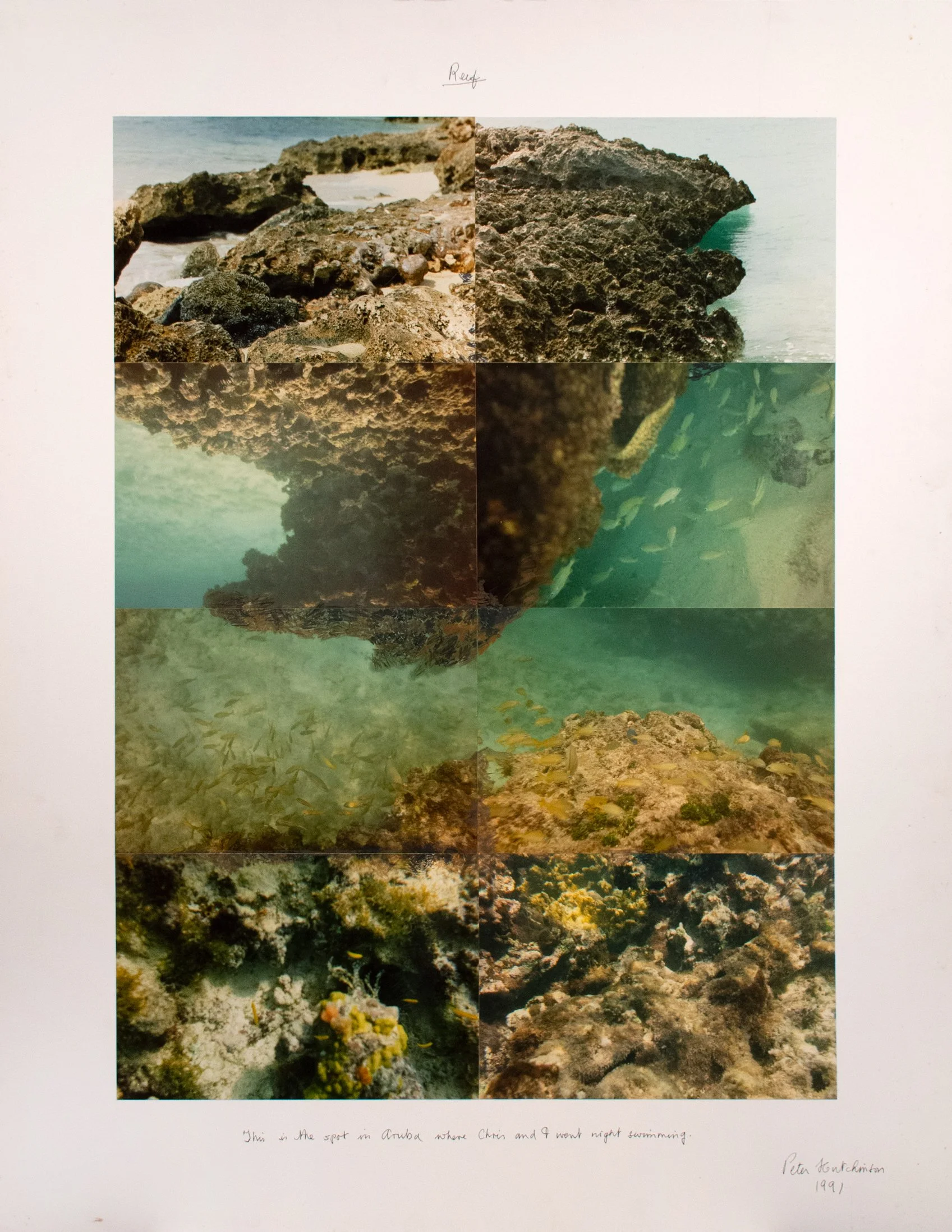  Reef , 1991
Photo-collage
40 1/4 x 31 1/4 in | 102 x 79.5 cm