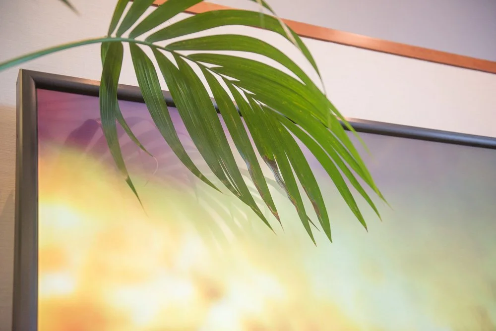  Untitled , 2015
Archival inkjet print
Dimensions variable