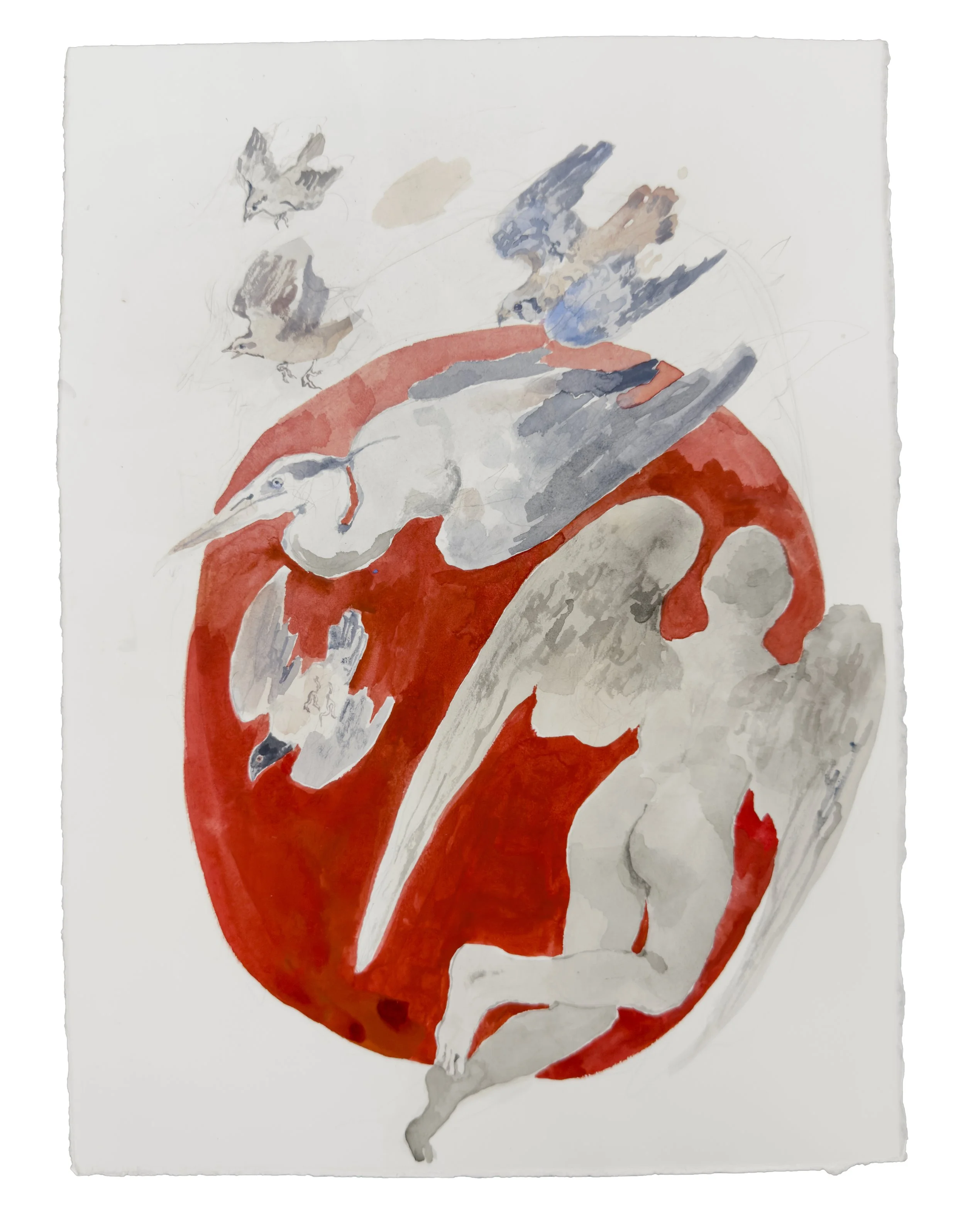 Jia Sung
 Conference of Birds , 2026
Watercolor and pencil on paper 
15 x 11 1/4 in | 38 x 28.5 cm