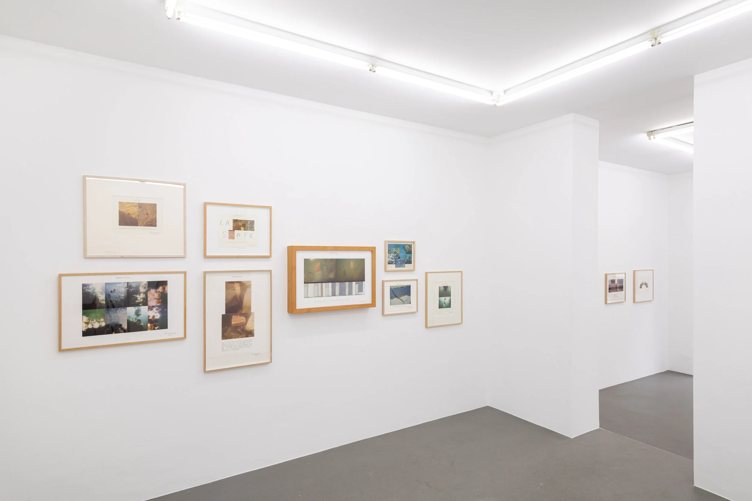 Installation view,  Summer Thrown Ropes , 2025