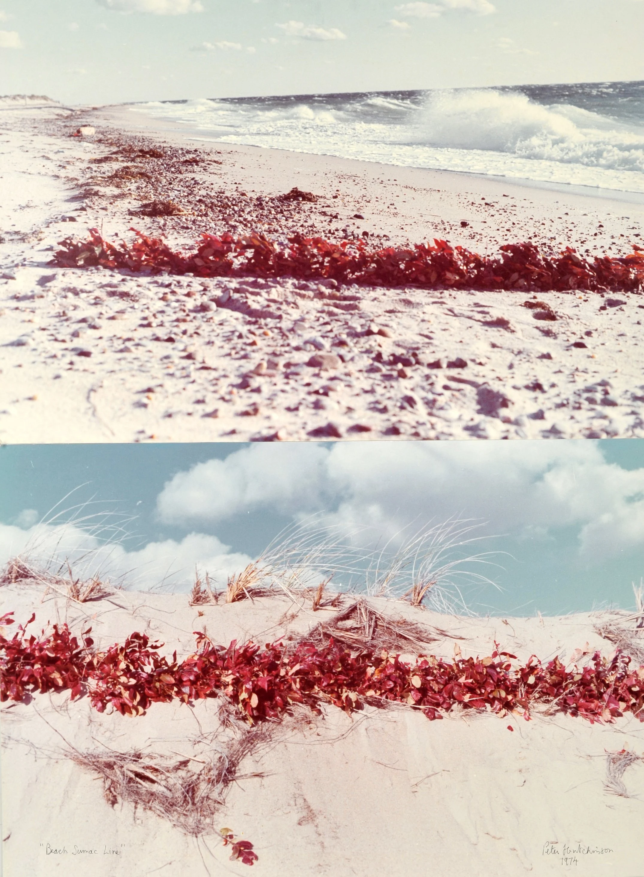  Beach Sumac Line , 1974
Color photograph mounted on foam core
100 x 75 cm | 39 1/2 x 29 1/2 in