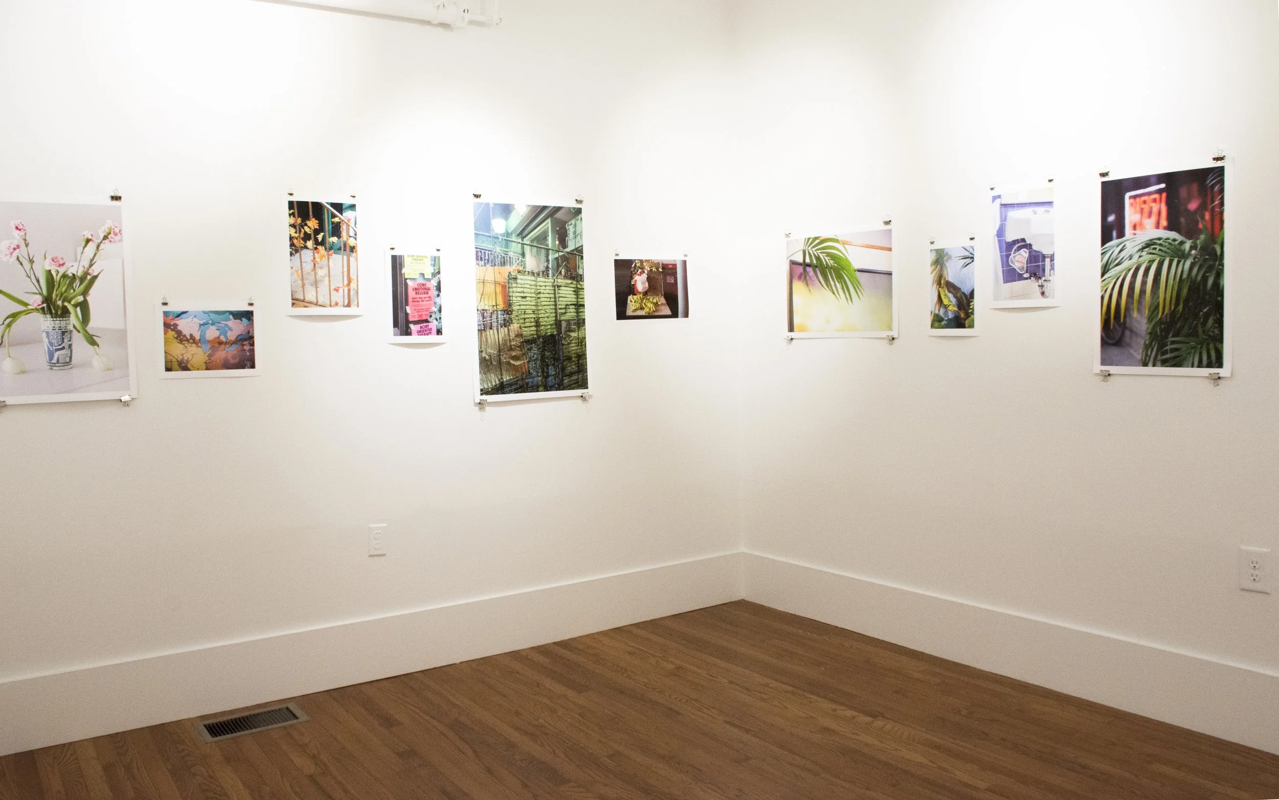 Installation view,  Ripe Bananas , 2016