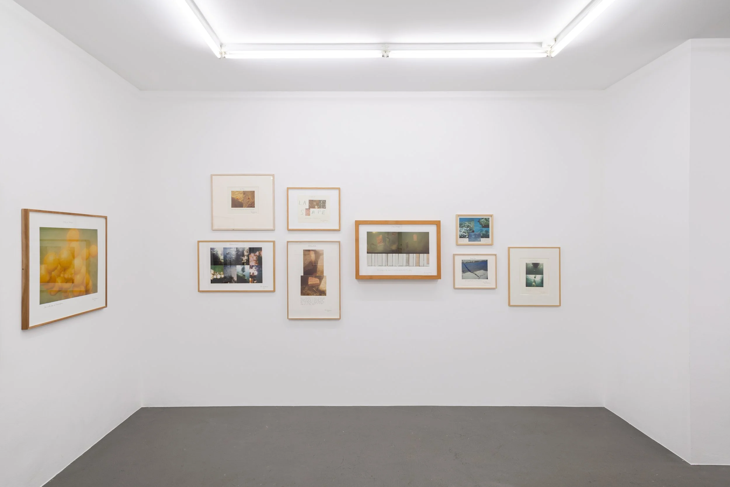 Installation view,  Summer Thrown Ropes , 2025