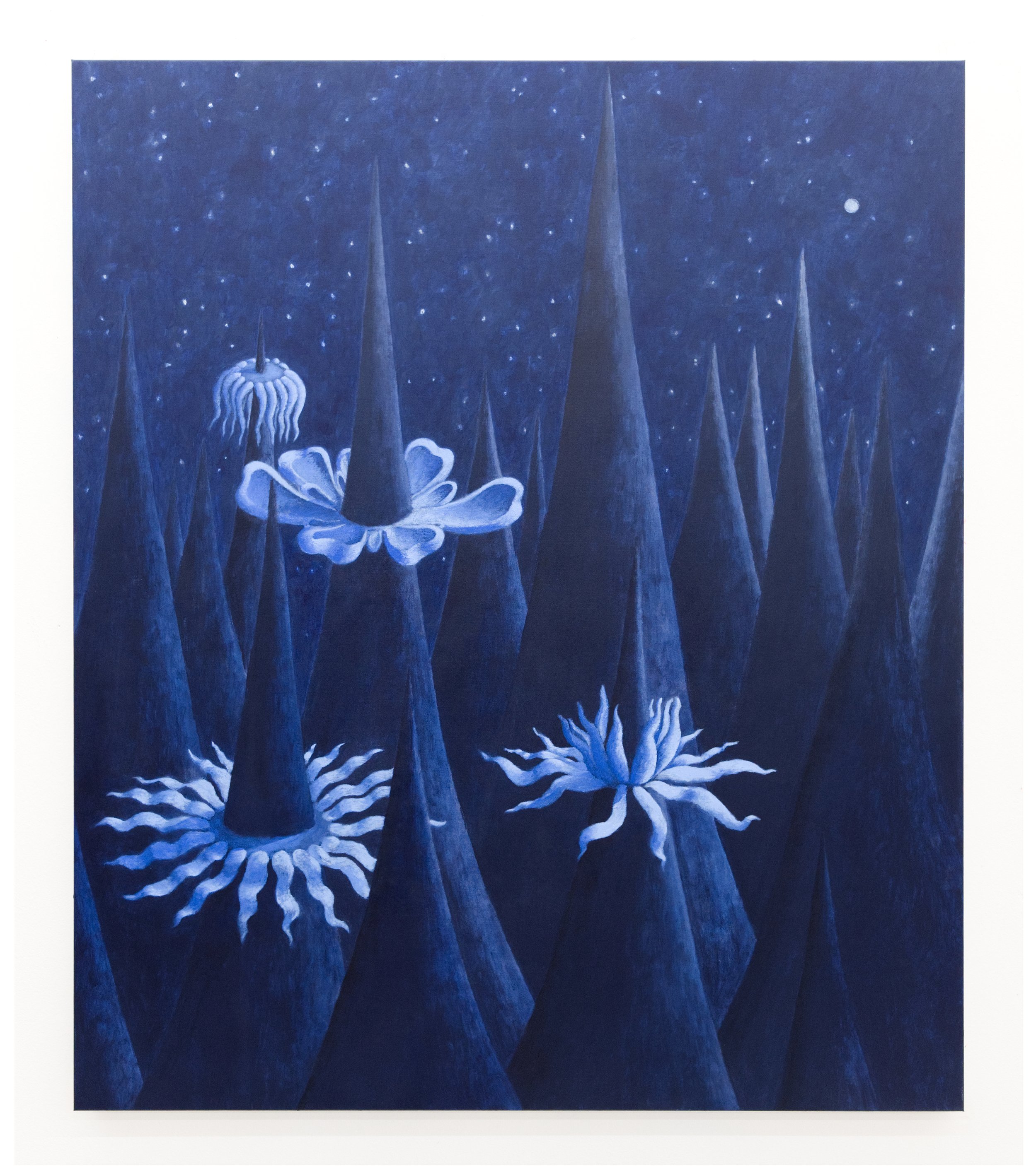  Mevlana Lipp 
 Adaption , 2026
Acrylic on canvas
39 3/8 x 31 1/2 in | 100 x 80cm