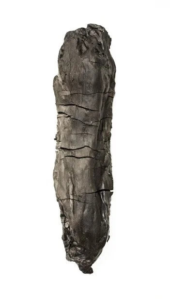 Woodbrey_Erin_Fragment_Small_Cotton_Shirt_2018.jpg