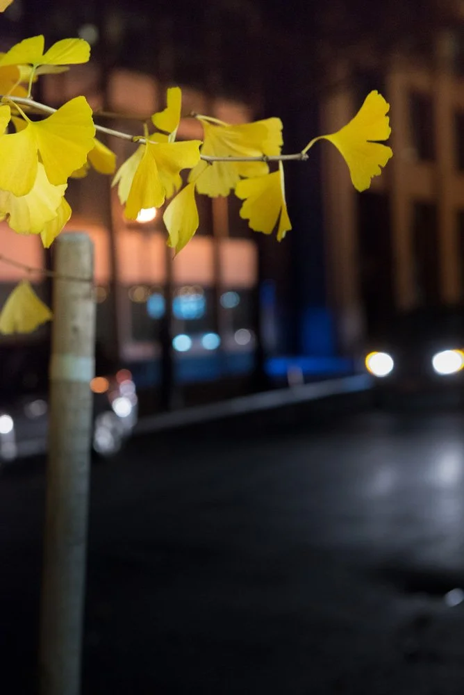  Untitled , 2015
Archival inkjet print
Dimensions variable