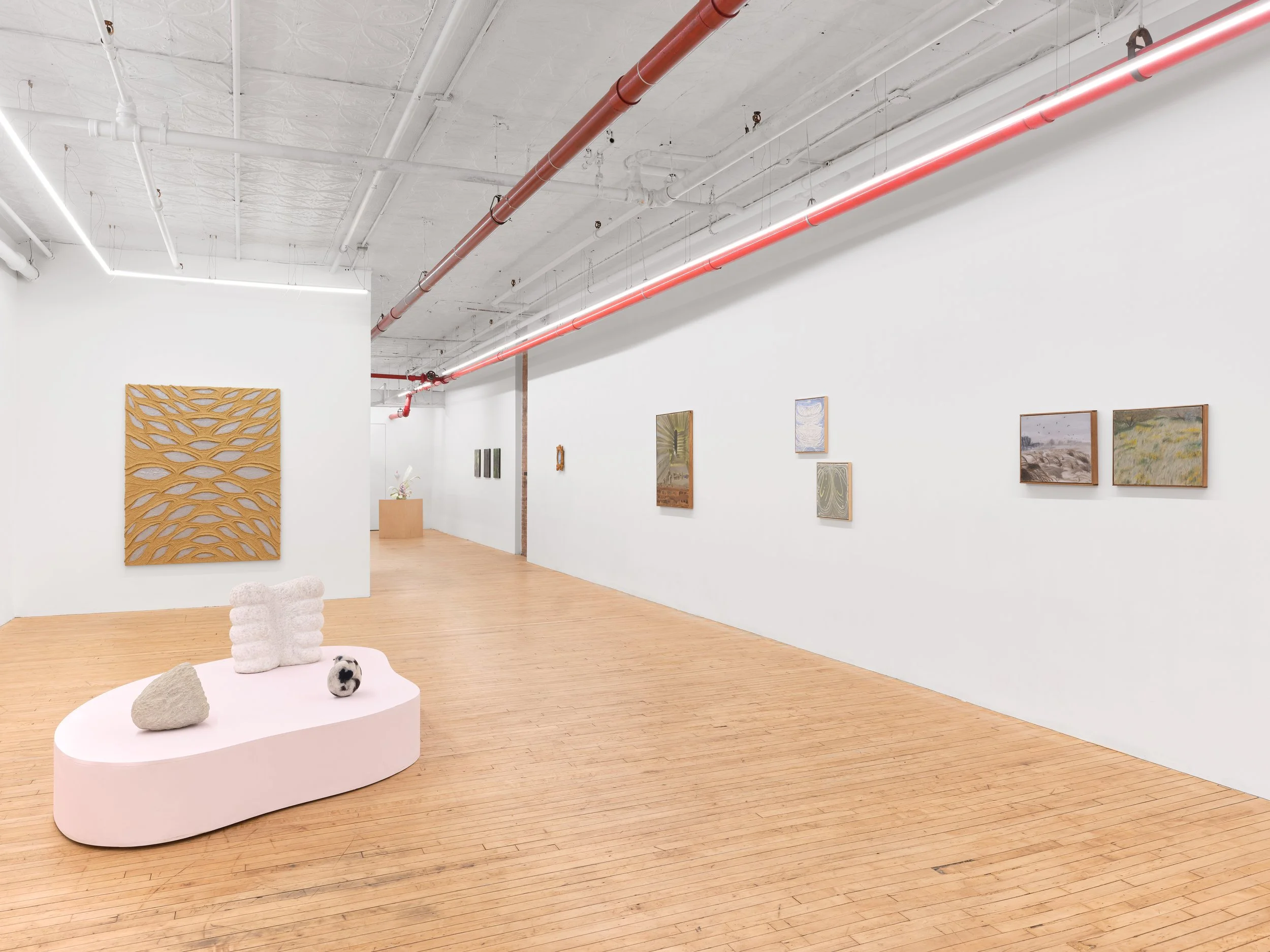 Installation view,  Beyond Matter , 2025