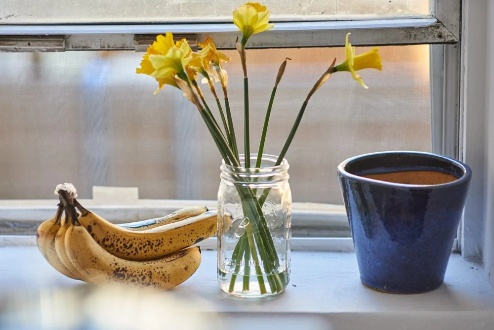  Untitled , 2016
Archival inkjet print
Dimensions variable