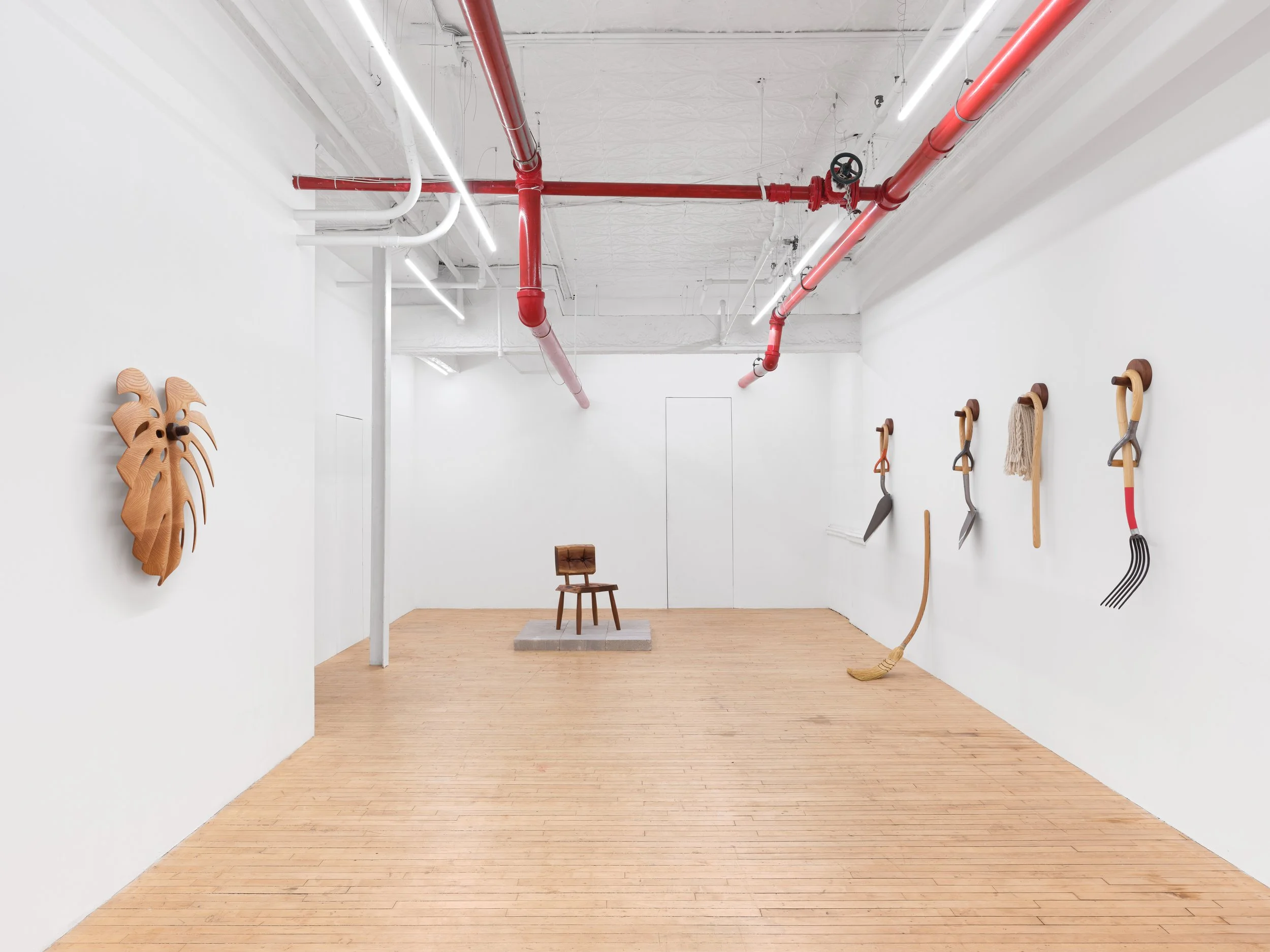 Installation view,  Between Roots , 2026