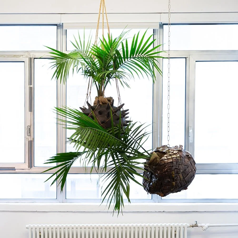  Majestic Harmony , 2020
Glazed stoneware
Variable Dimensions 
Spiked Nest (Left) - 40.5 x 51 x 51 cm | 16 x 20 x 20 in
Woven Nest (Right) - 46 x 46 x 46 cm | 18 x 18 x 18 in