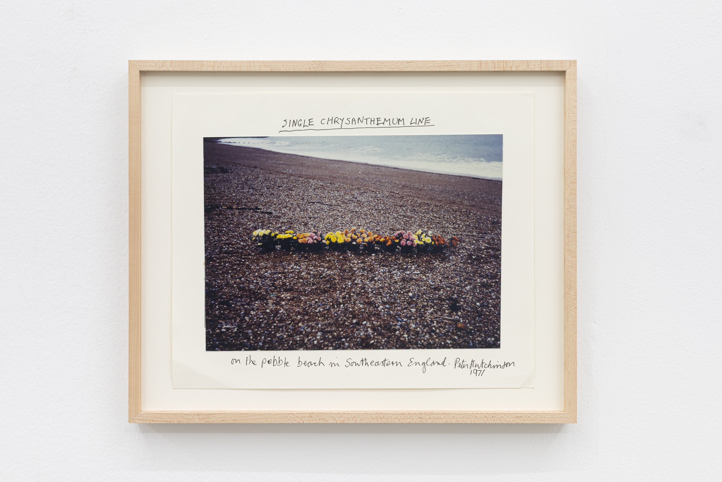  Single Chrysanthemum Line , 1971
Photo-collage, ink, text on cardboard
11 x 13 1/2 in | 28 x 34.5 cm