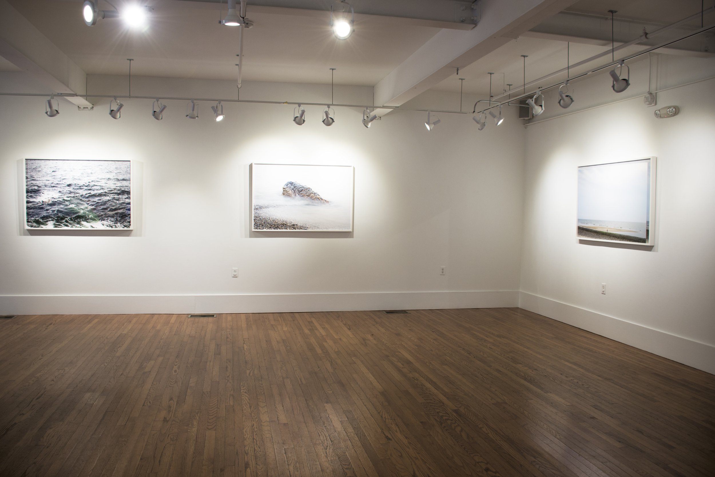 Installation view,  Daily, In a Nimble Sea , 2017