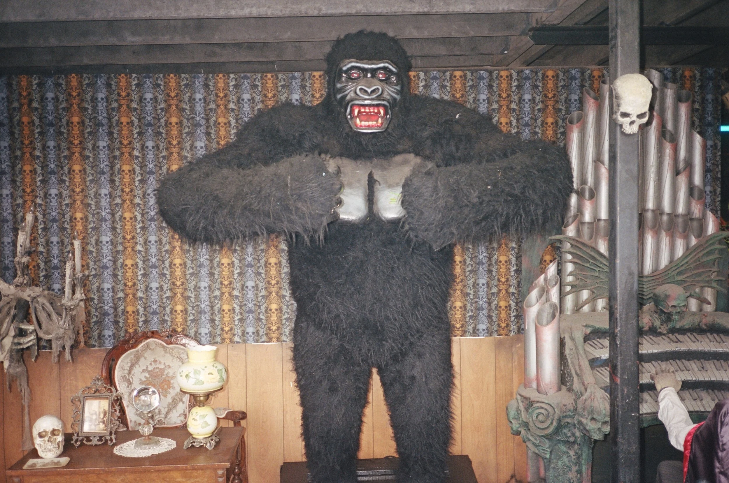  Kingu Kongu , 2016
Inkjet print
20 x 30 in | 51 x 76 cm