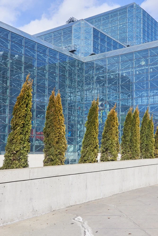  Untitled , 2015
Archival inkjet print
Dimensions variable