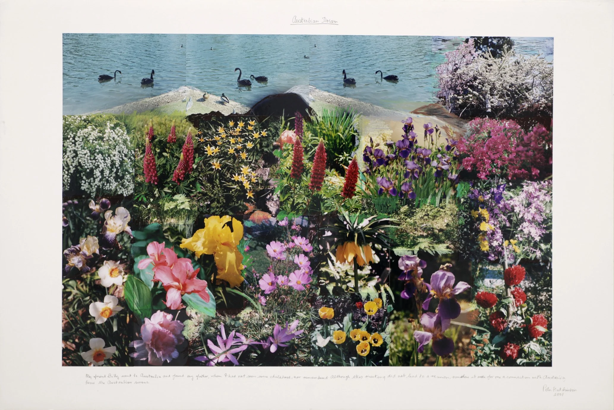  Australian Dream , 2001
Photo-collage, gouache, oil crayon, ink and text on board
40 x 60 in | 101.5 x 152.5 cm