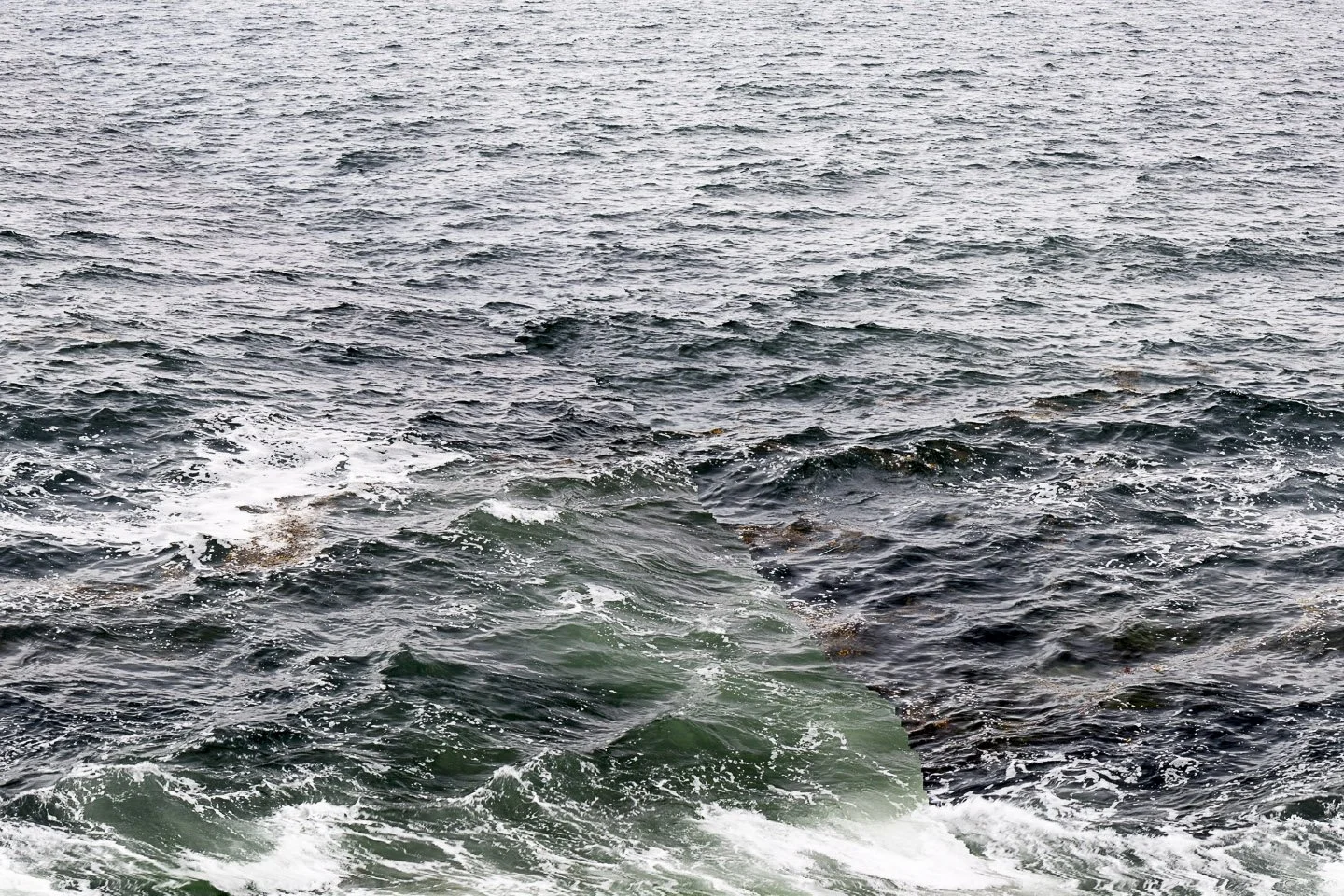 Barry Stone
 _MG_6016_2, Bailey Island, Maine , 2016
Archival inkjet print
34 x 51 in | 86 x 129.5 cm