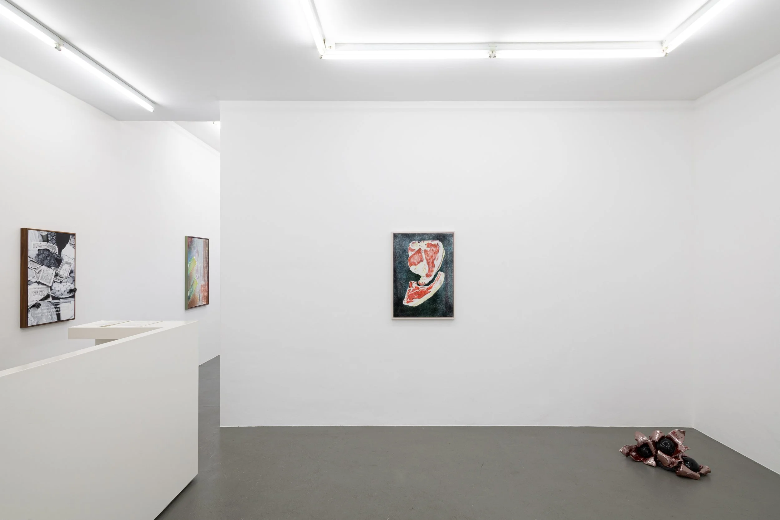 Installation view,  Soft Storage , 2026