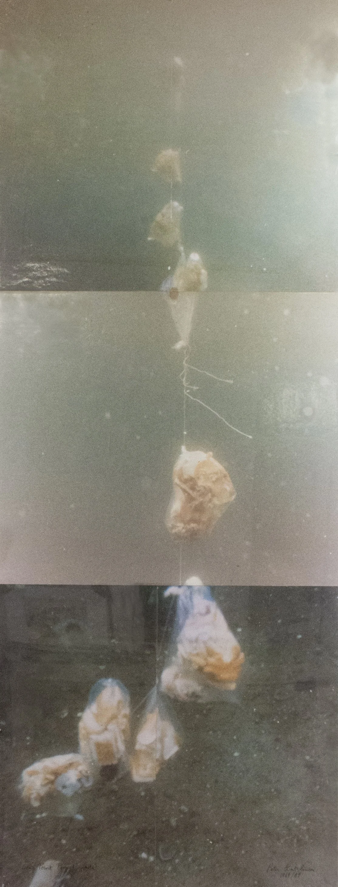  Long Point Project , 1968
Photo-collage
57 1/2 x 22 in | 146 x 56 cm