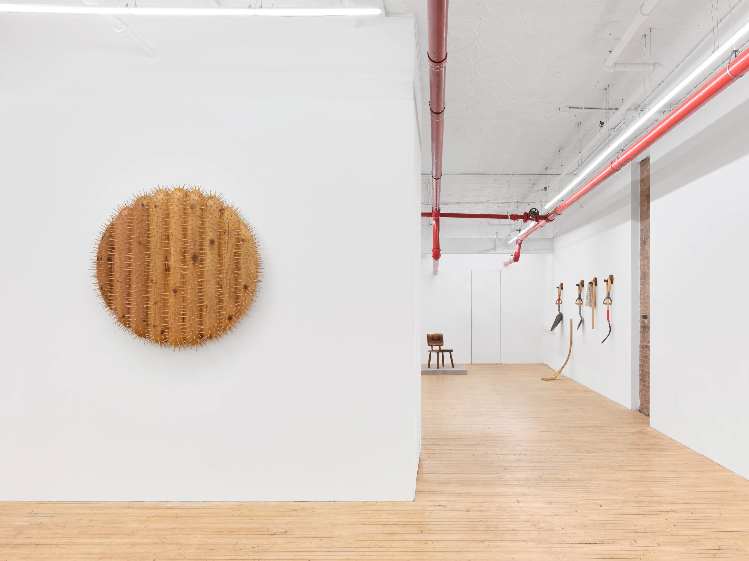 Installation view,  Between Roots , 2026