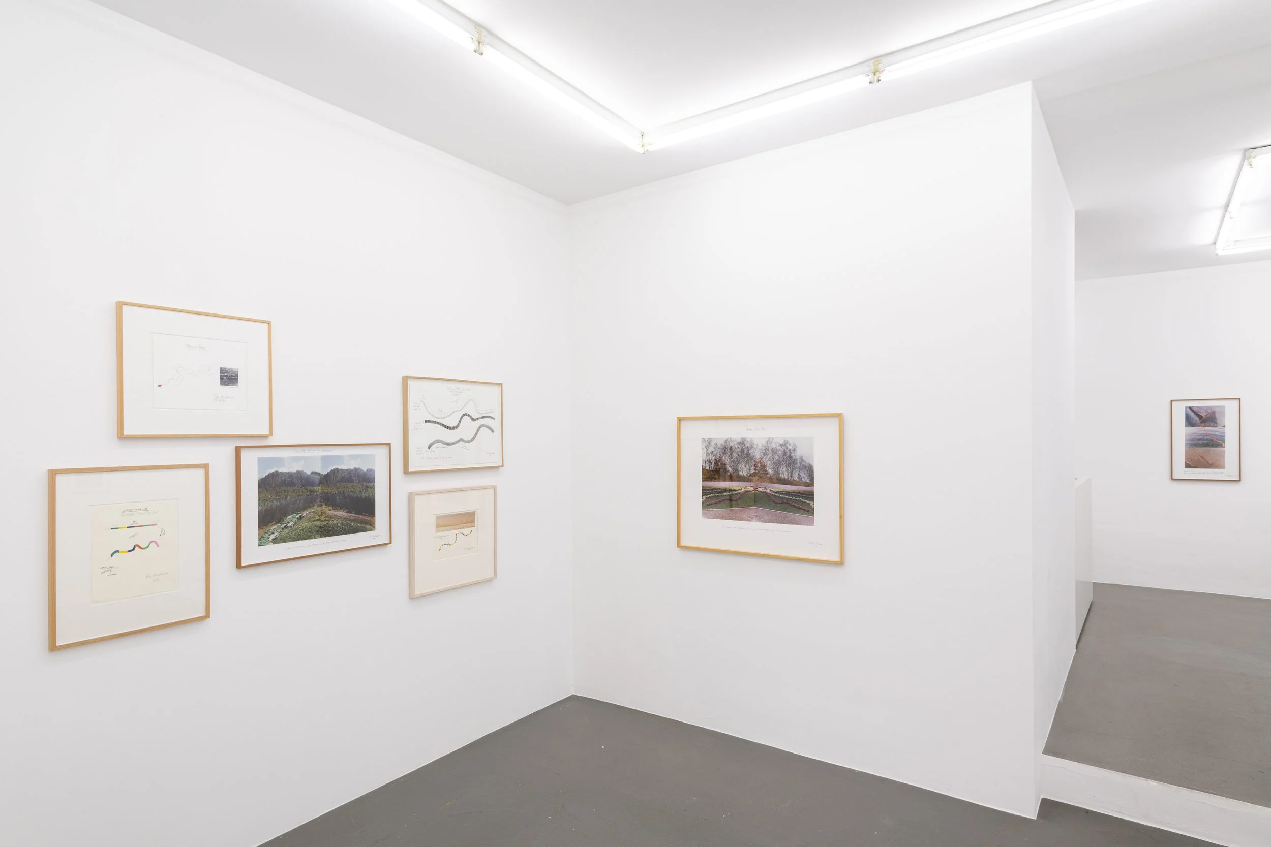 Installation view,  Summer Thrown Ropes , 2025