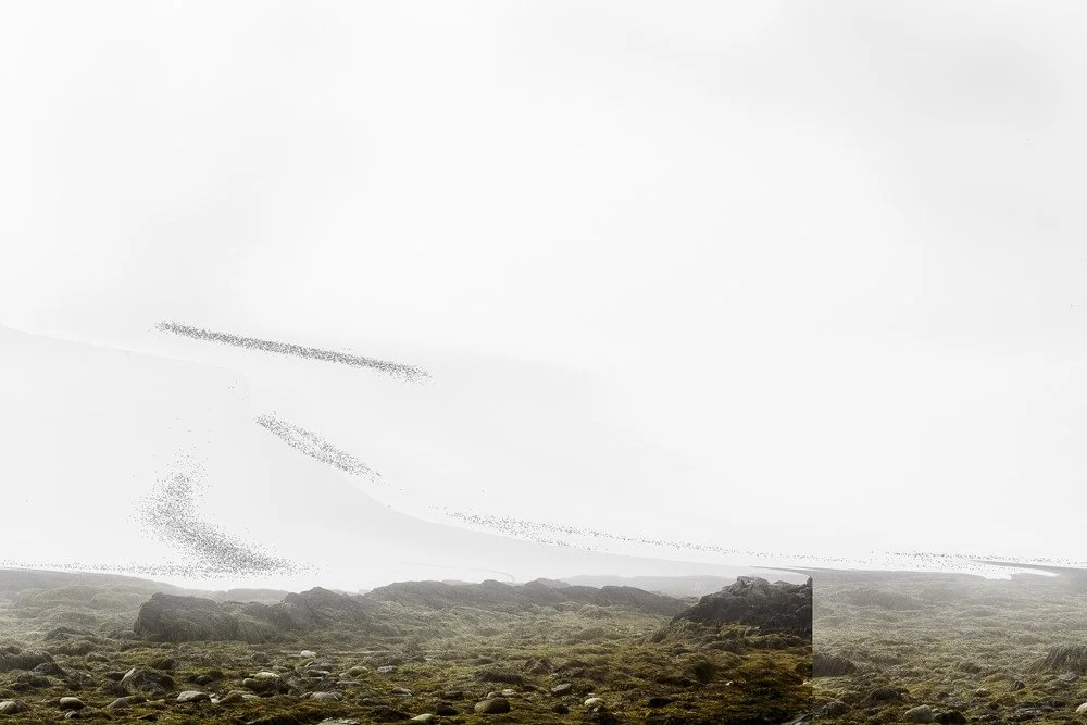  _MG_9023_3_3, Bailey Island, Maine , 2016
Archival inkjet print
24 x 36 in | 61 x 91 cm
Edition of 3 + 1 AP