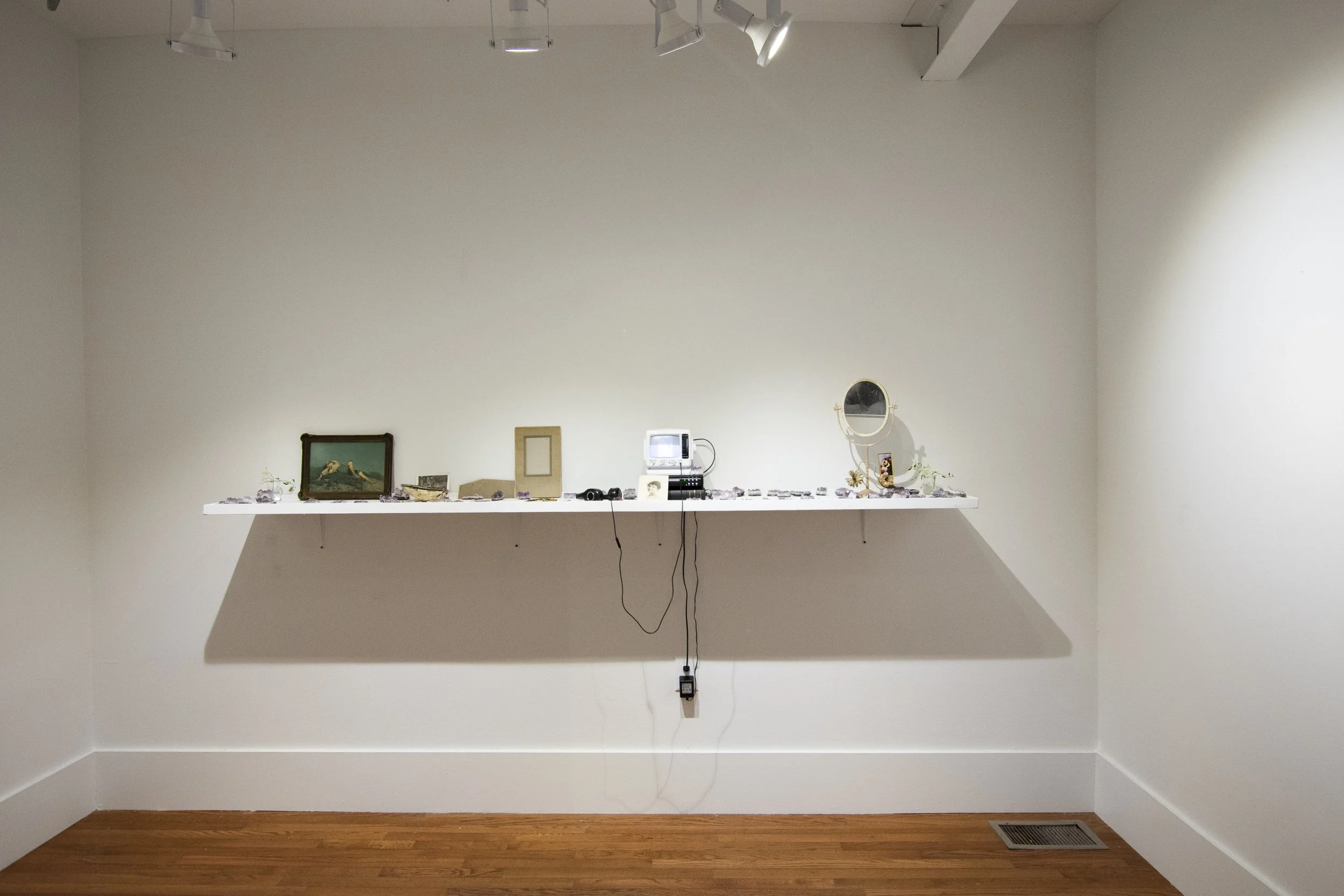 Installation view,  BIRD ON A WIRE , 2018