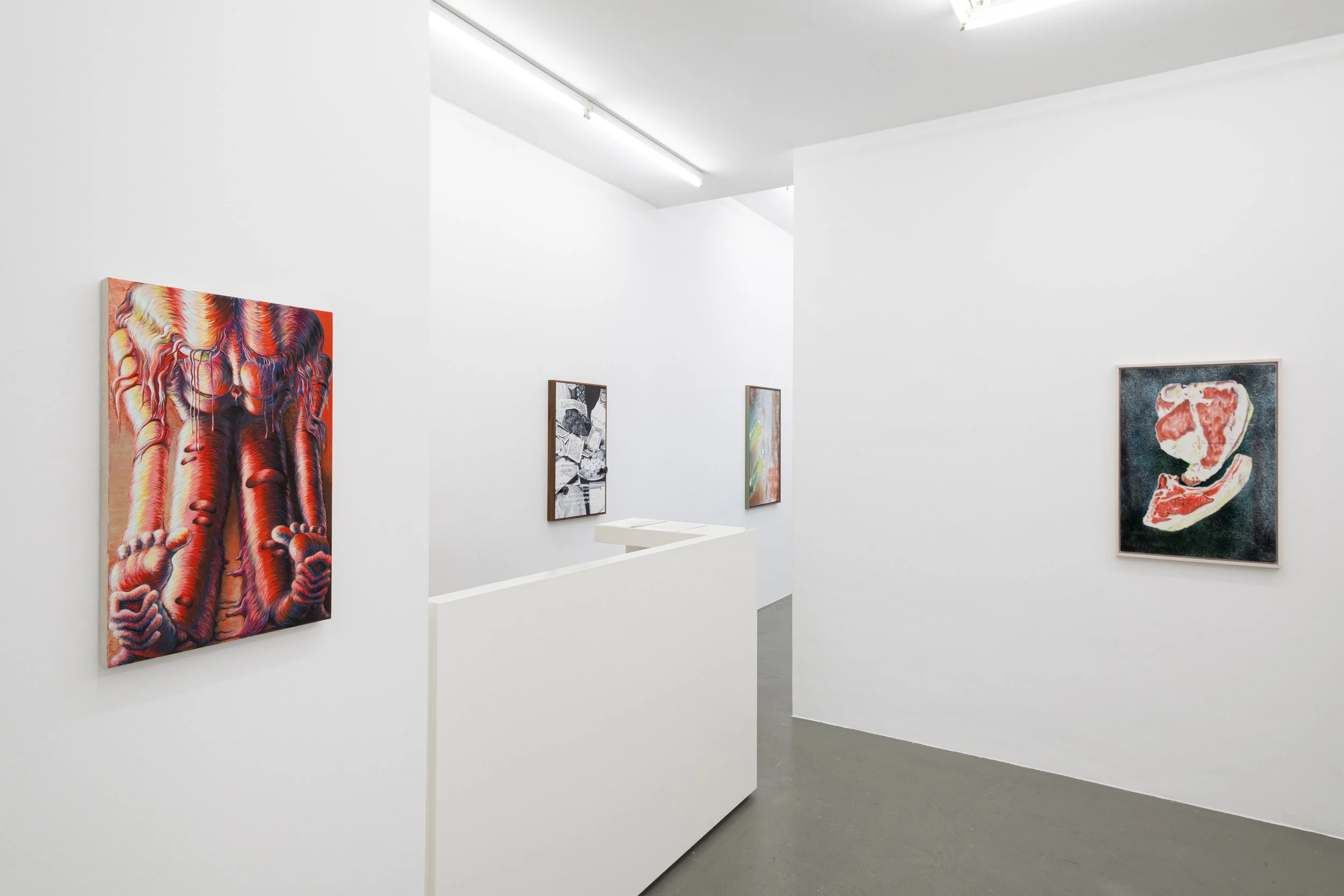 Installation view,  Soft Storage , 2026