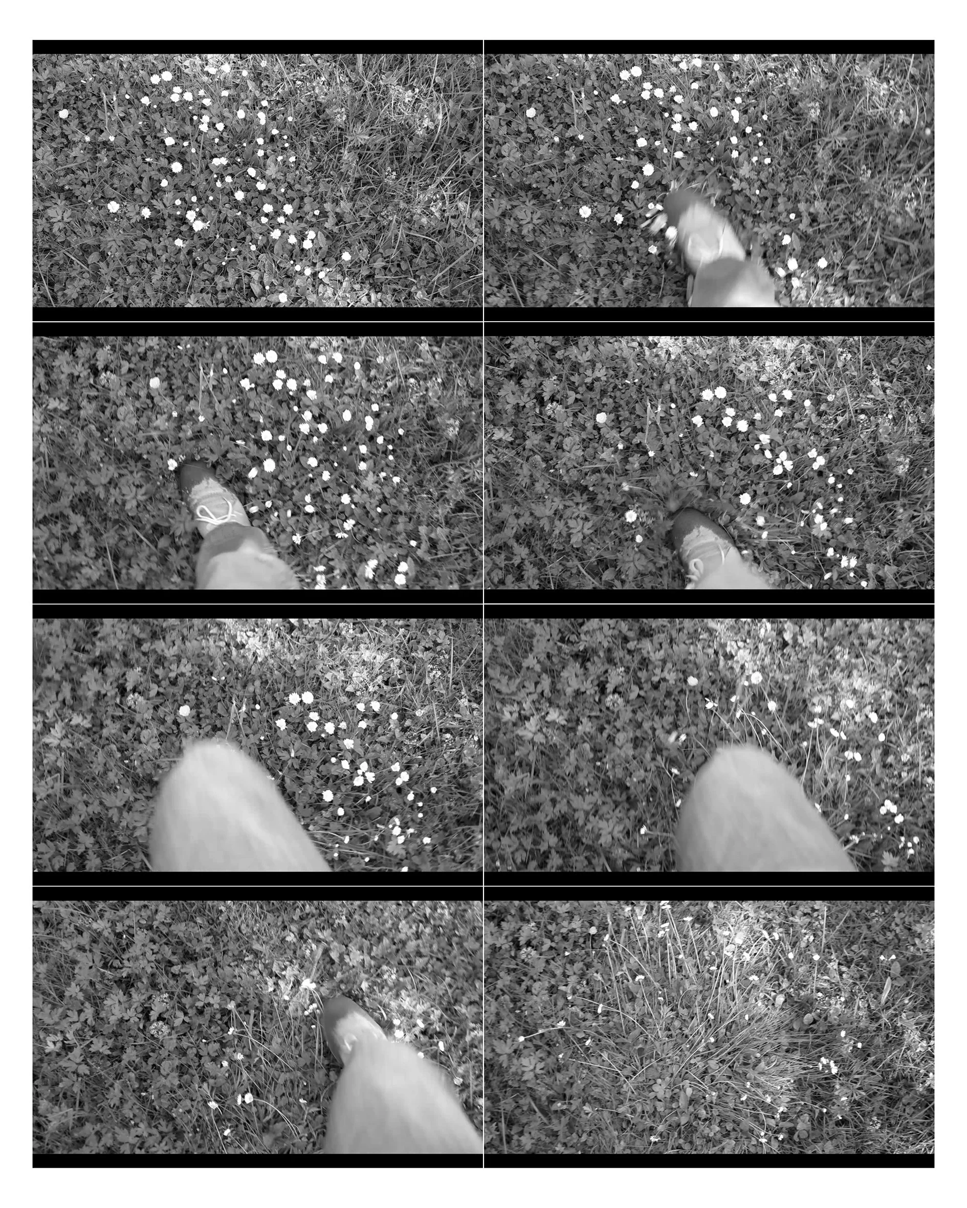 Marcello Ragone
 FILM STILL 21 / 63
MARCELLO RAGONE , 2013 –
COLLECTION OF 63 VIDEOS, 22:23 MIN
SEQUENCE 21 / 63, 0:21 MIN