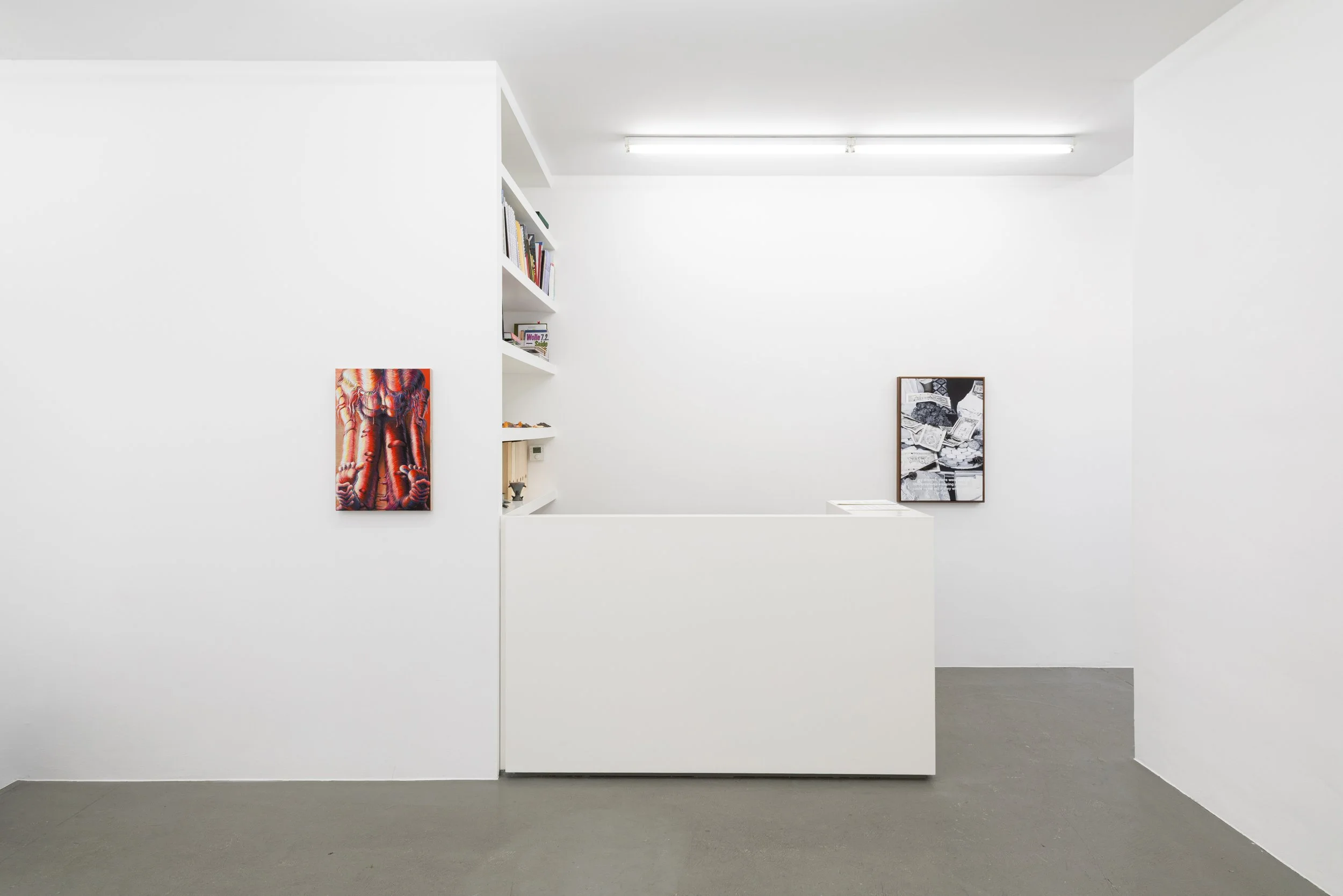 Installation view,  Soft Storage , 2026