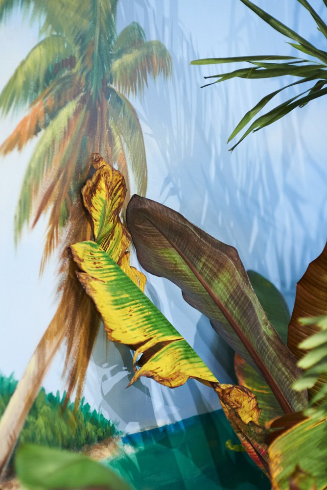  Untitled , 2016
Archival inkjet print
Dimensions variable