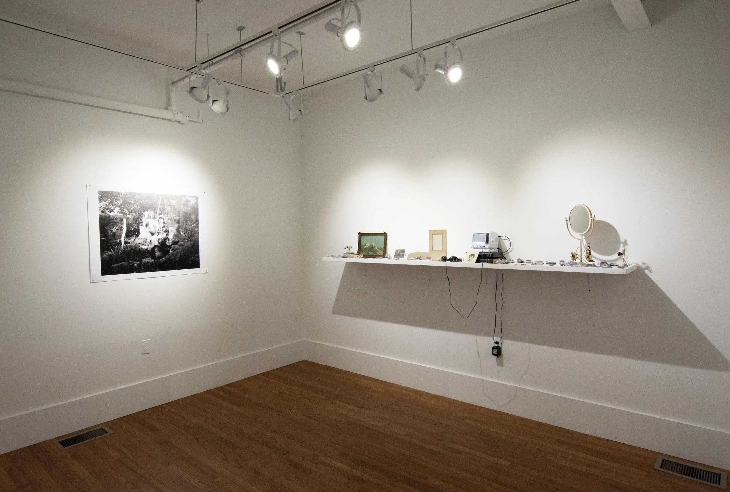 Installation view,  BIRD ON A WIRE , 2018