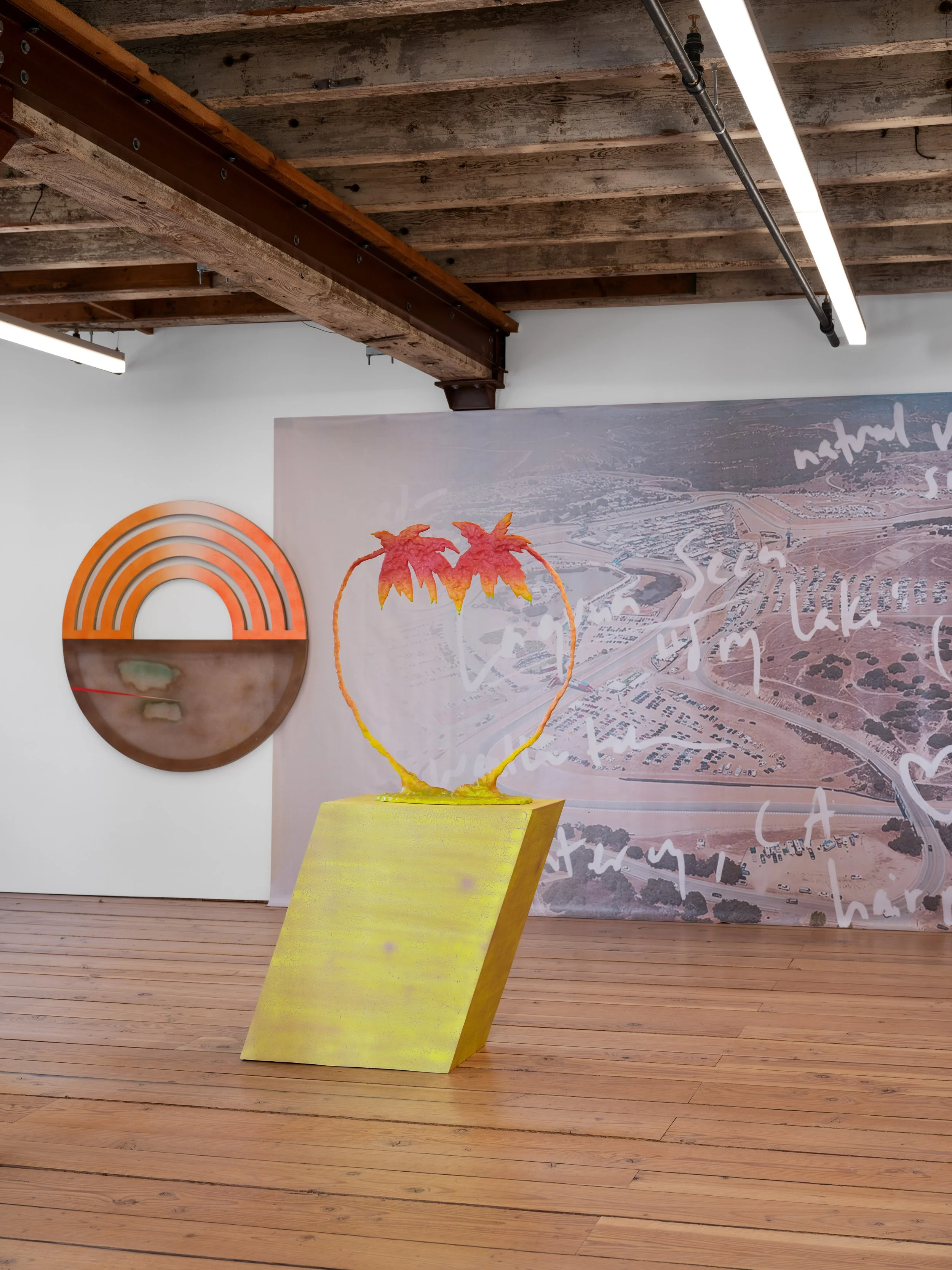 Installation view,  Laguna Seca , Catskill, 2026.