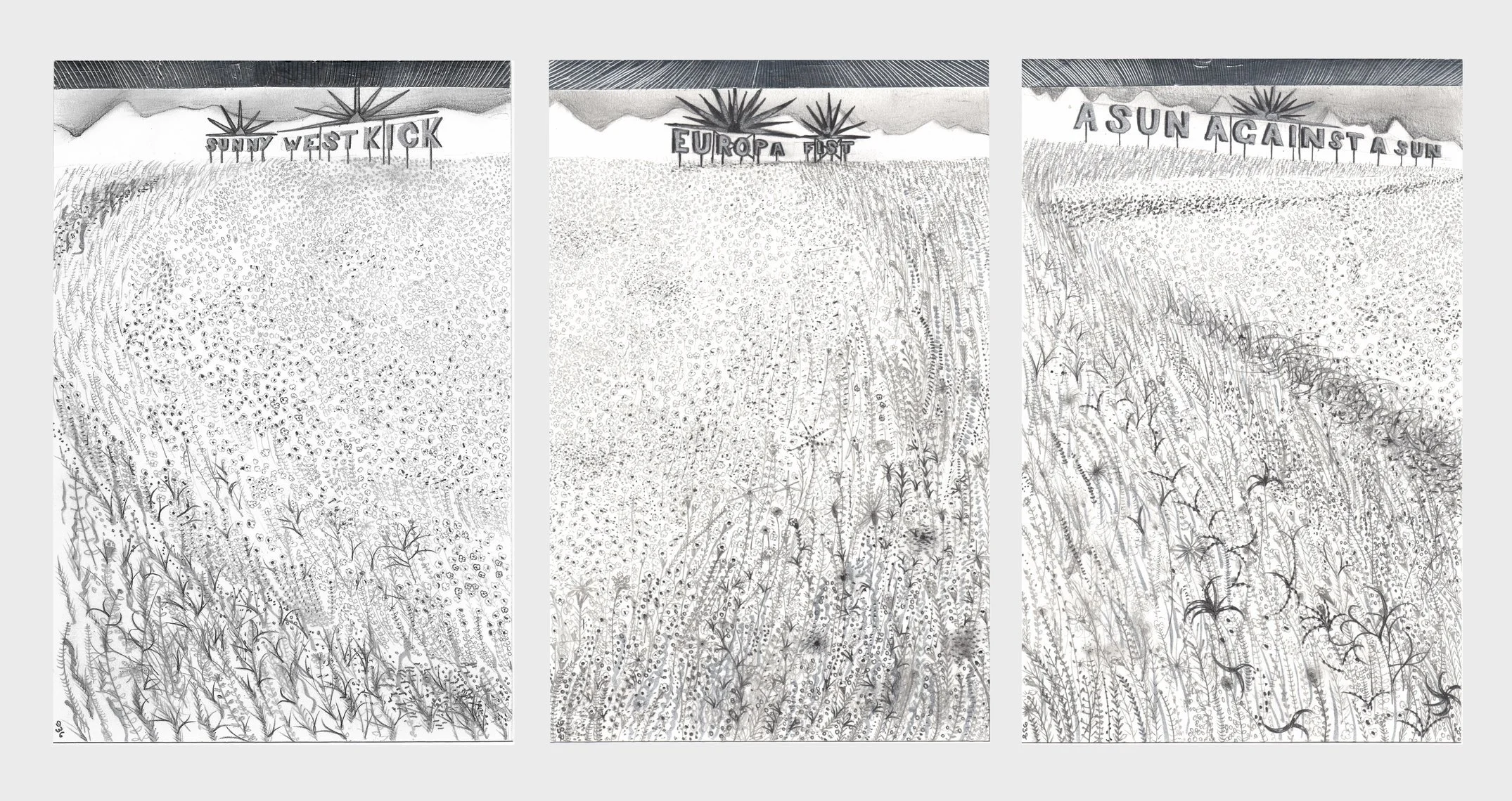  Suns , 2014
Graphite, silver ink and metal tape on 220 g/m2 Fabriano 4 paper
3 Sheets, each: 20 x 13 cm / 8 x 5 1/3 in