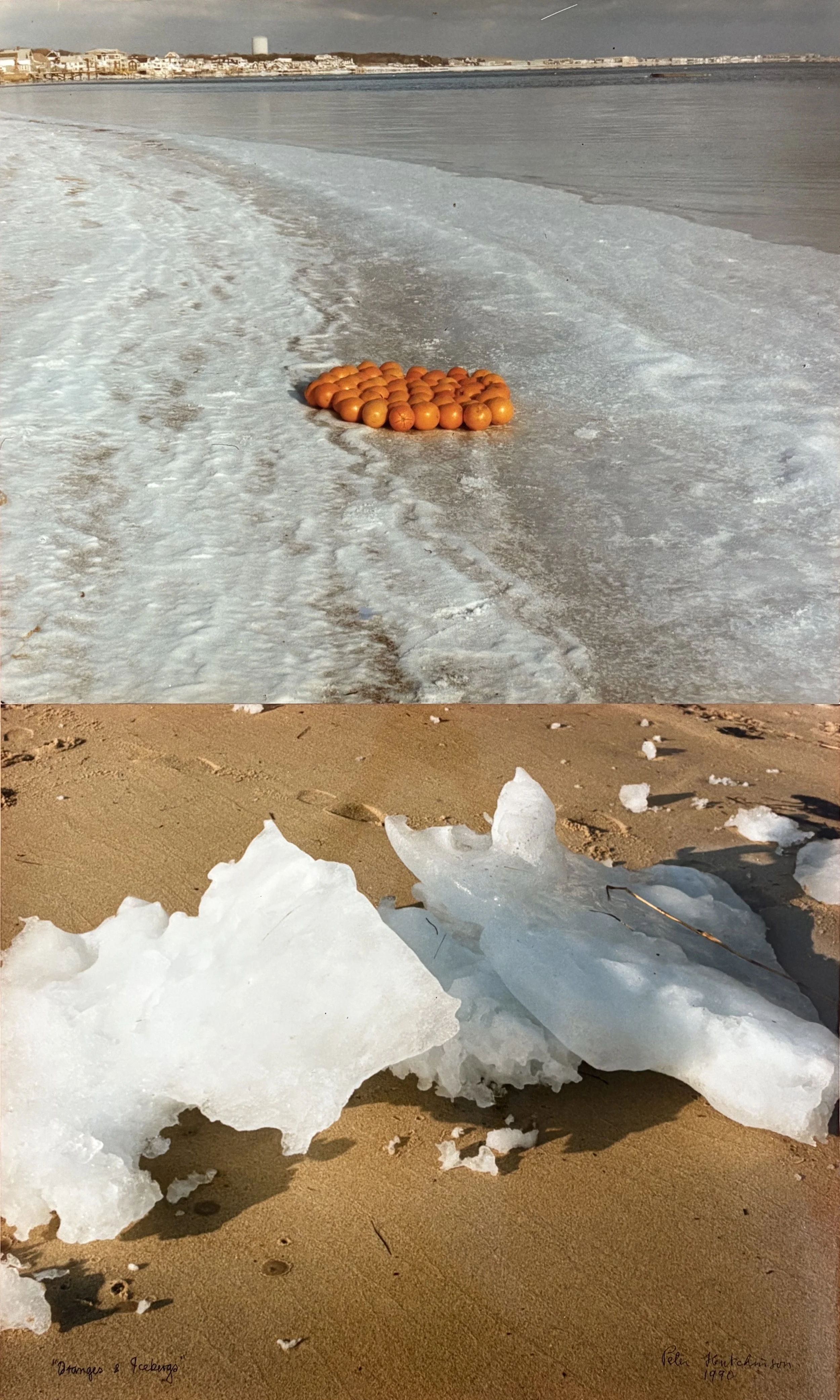  Oranges / Icebergs 
Photo-collage and ink on paper
40 x 24 in | 101.5 x 61 cm