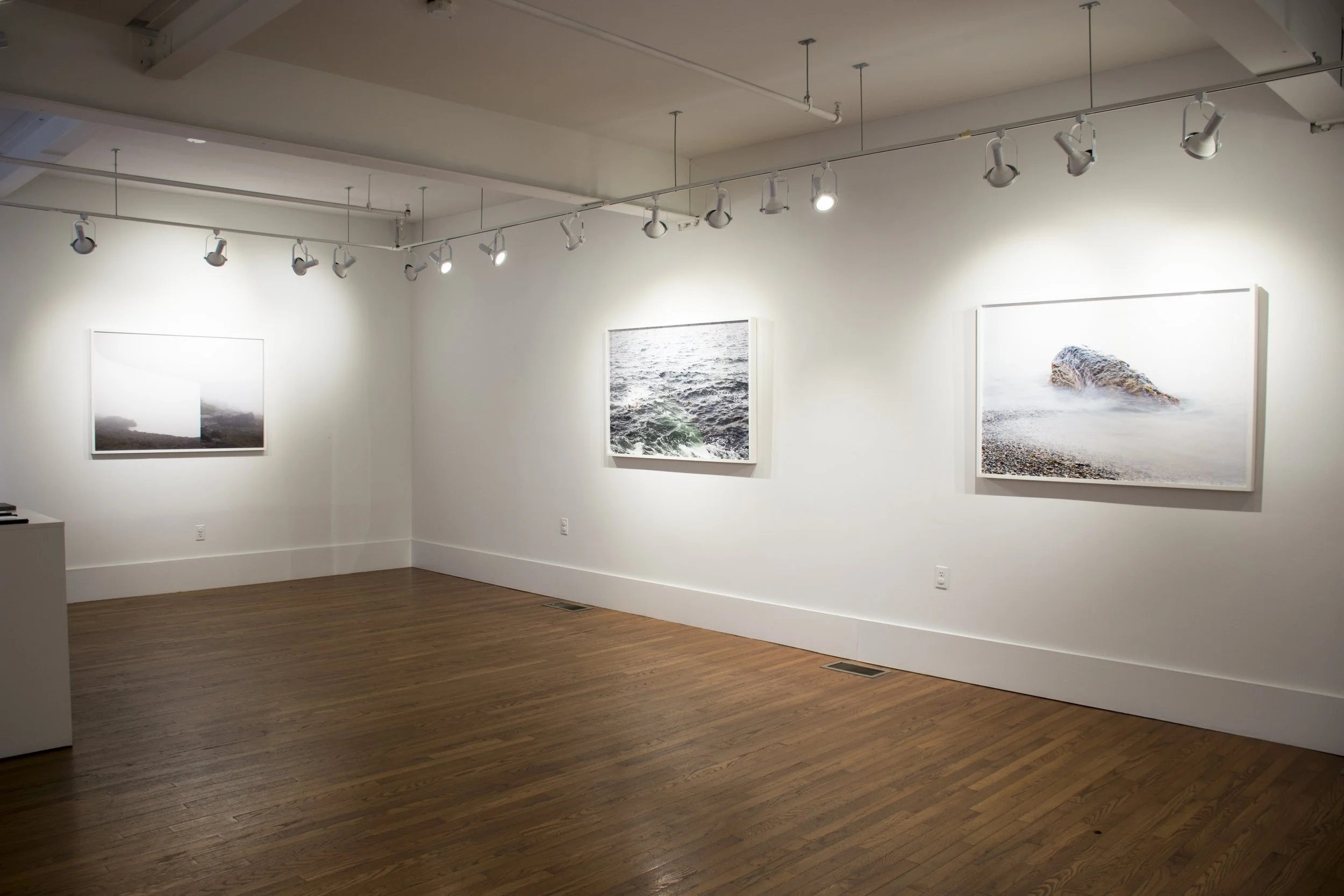 Installation view,  Daily, In a Nimble Sea , 2017