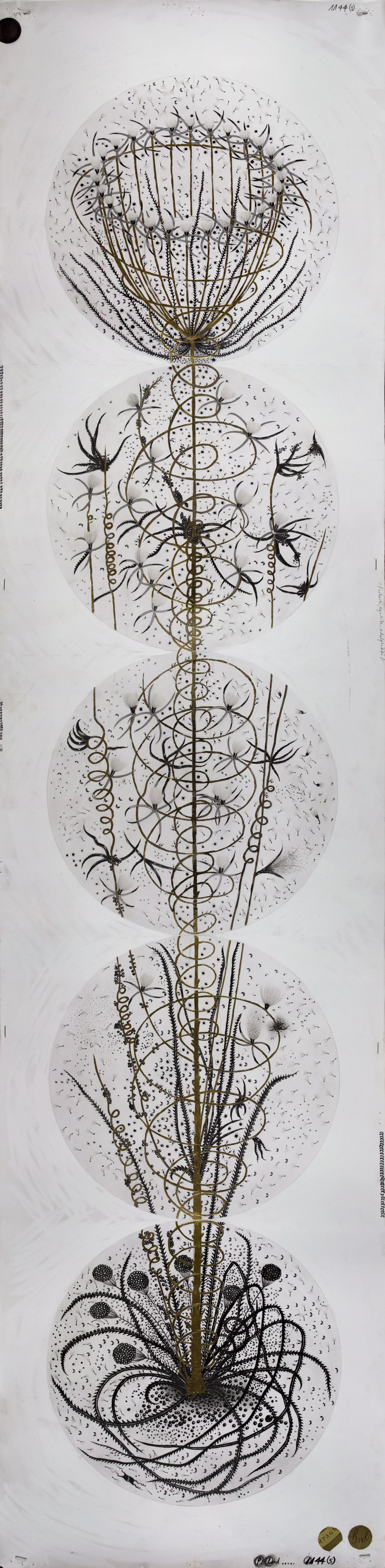  Instar 5 , 2018
Graphite, silver ink, gold leaf and metal foil on 220 g/m2 Fabriano 4 paper
165 x 40 cm / 65 x 15 3/4 in