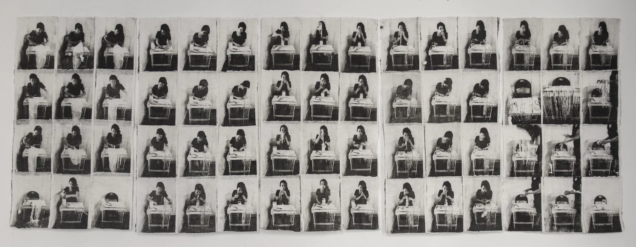  Energy Assessment , 2012
Gum transfer on handmade paper
35 3/8 x 138 in | 90 x 350 cm
