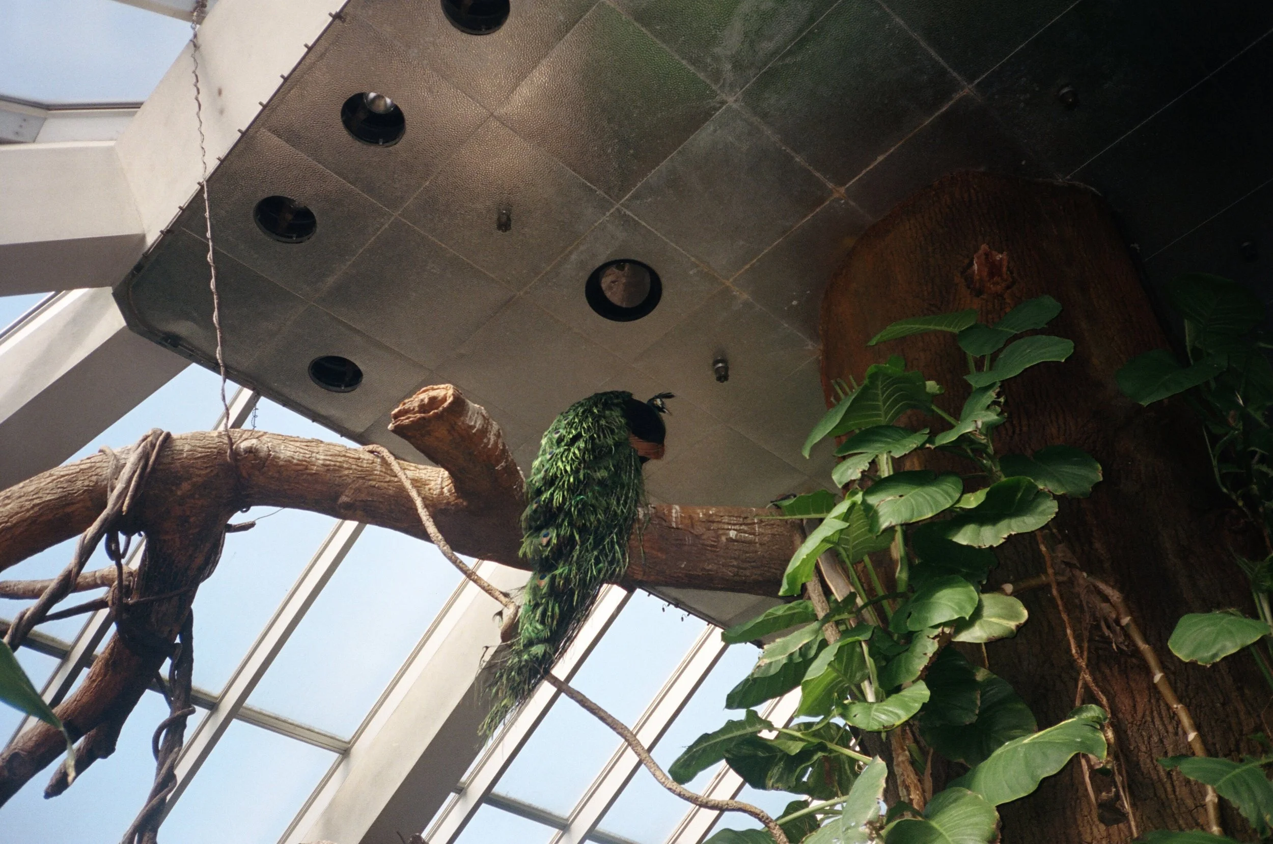  Untitled , 2016
Inkjet print
16 x 24 in | 40.5 x 61 cm