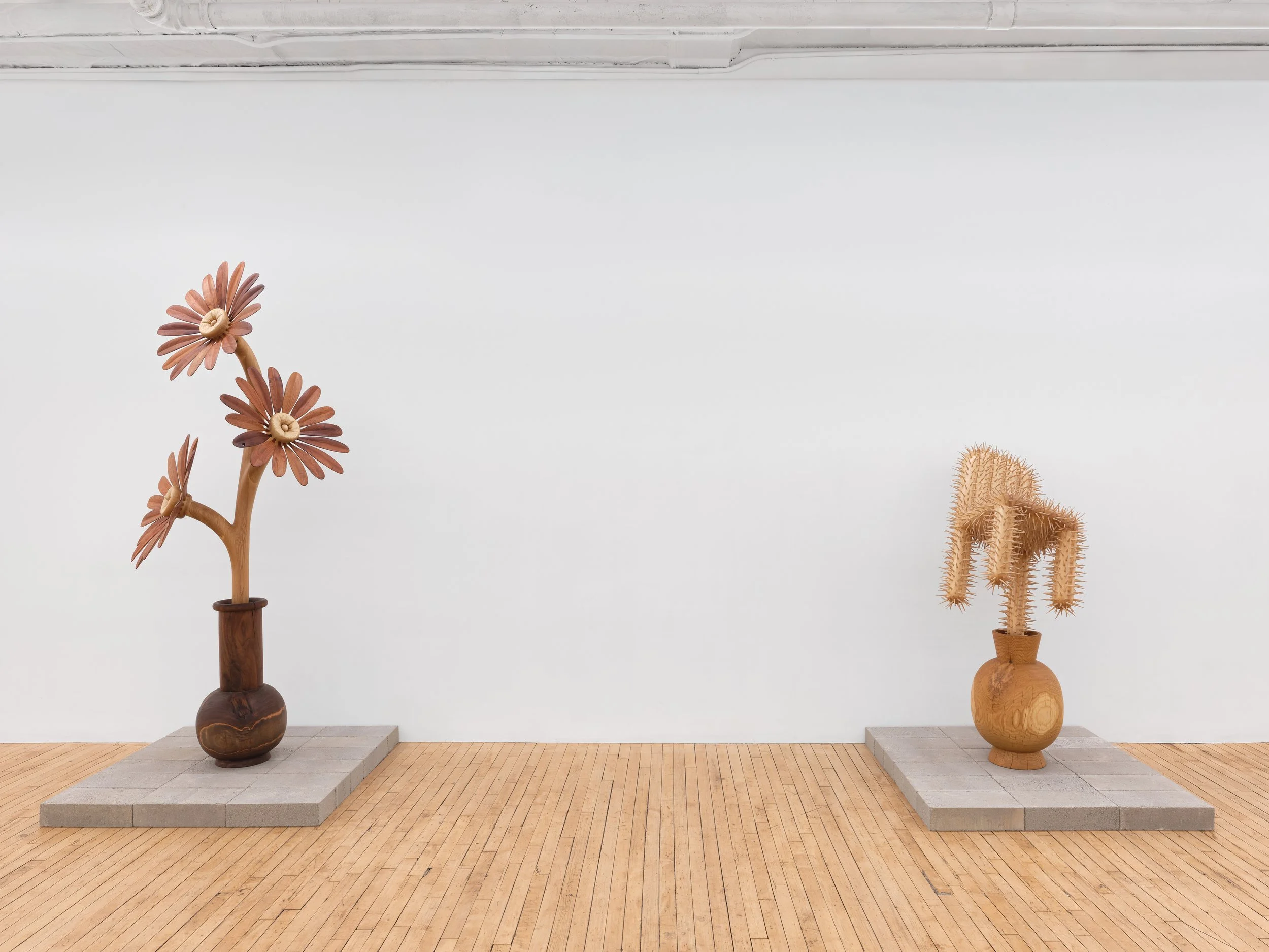 Installation view,  Between Roots , 2026