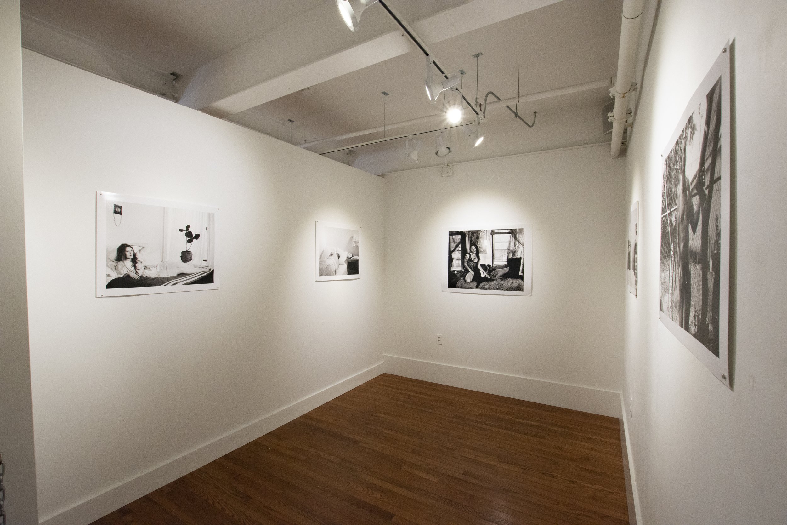 Installation view,  BIRD ON A WIRE , 2018