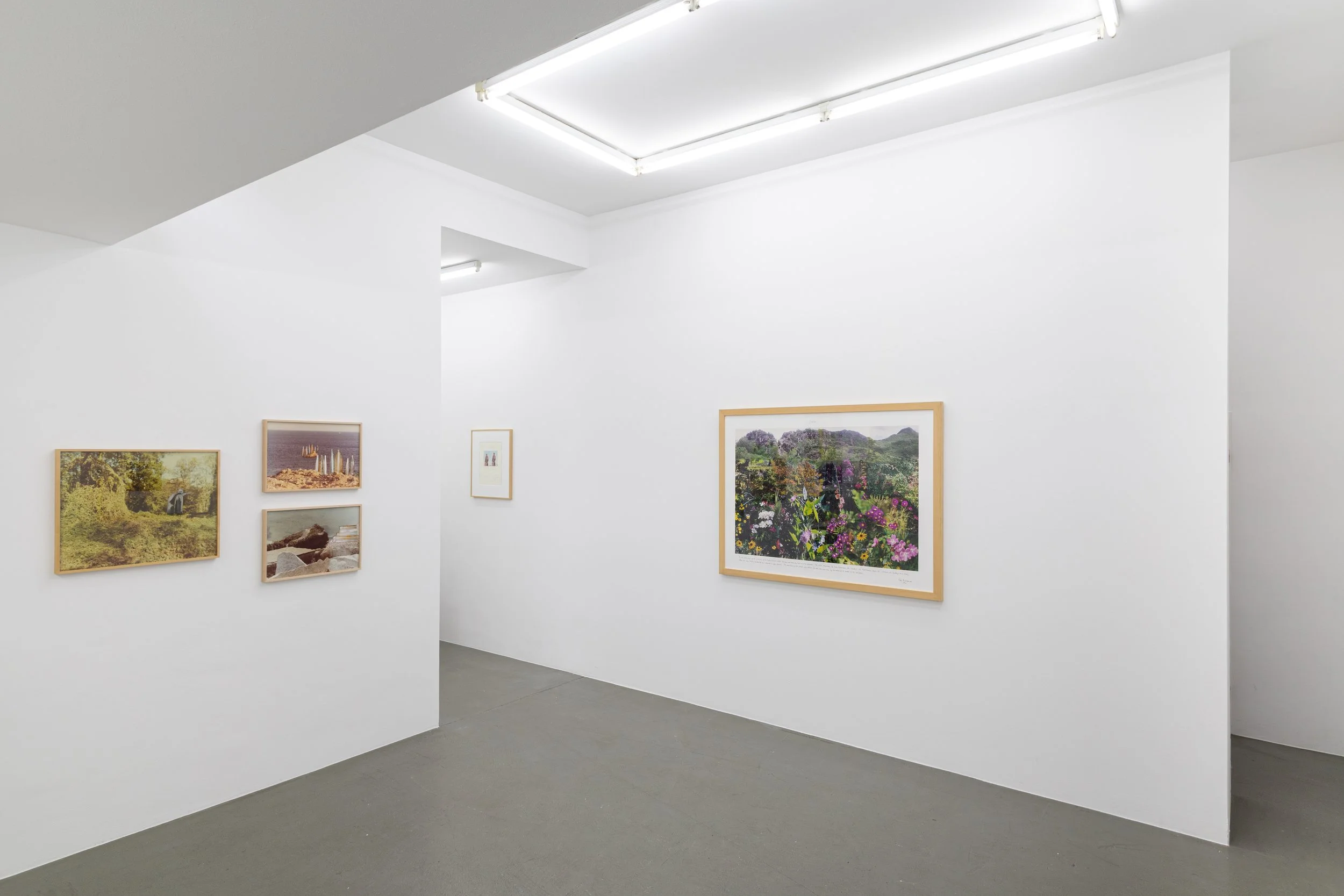 Installation view,  Summer Thrown Ropes , 2025