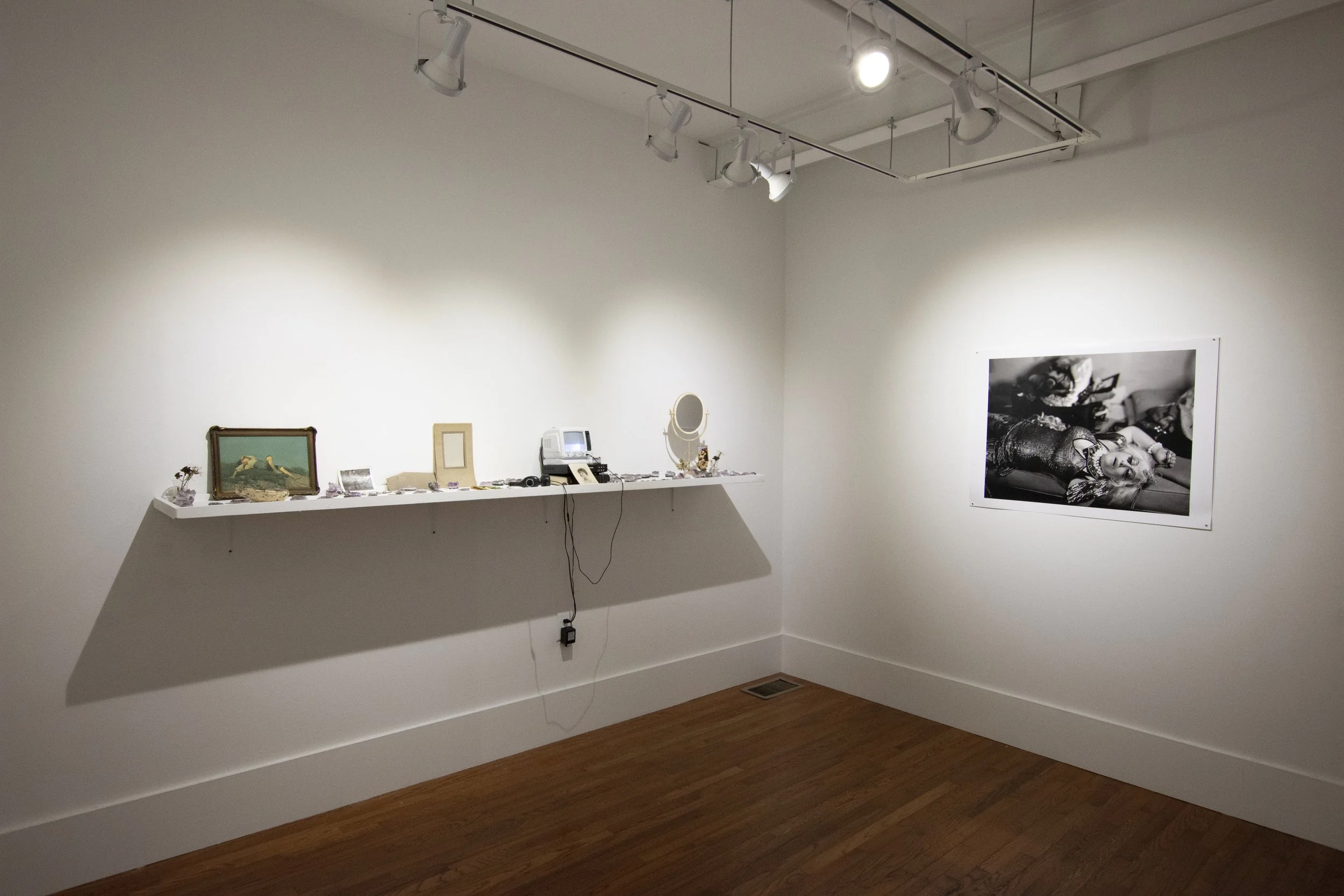 Installation view,  BIRD ON A WIRE , 2018