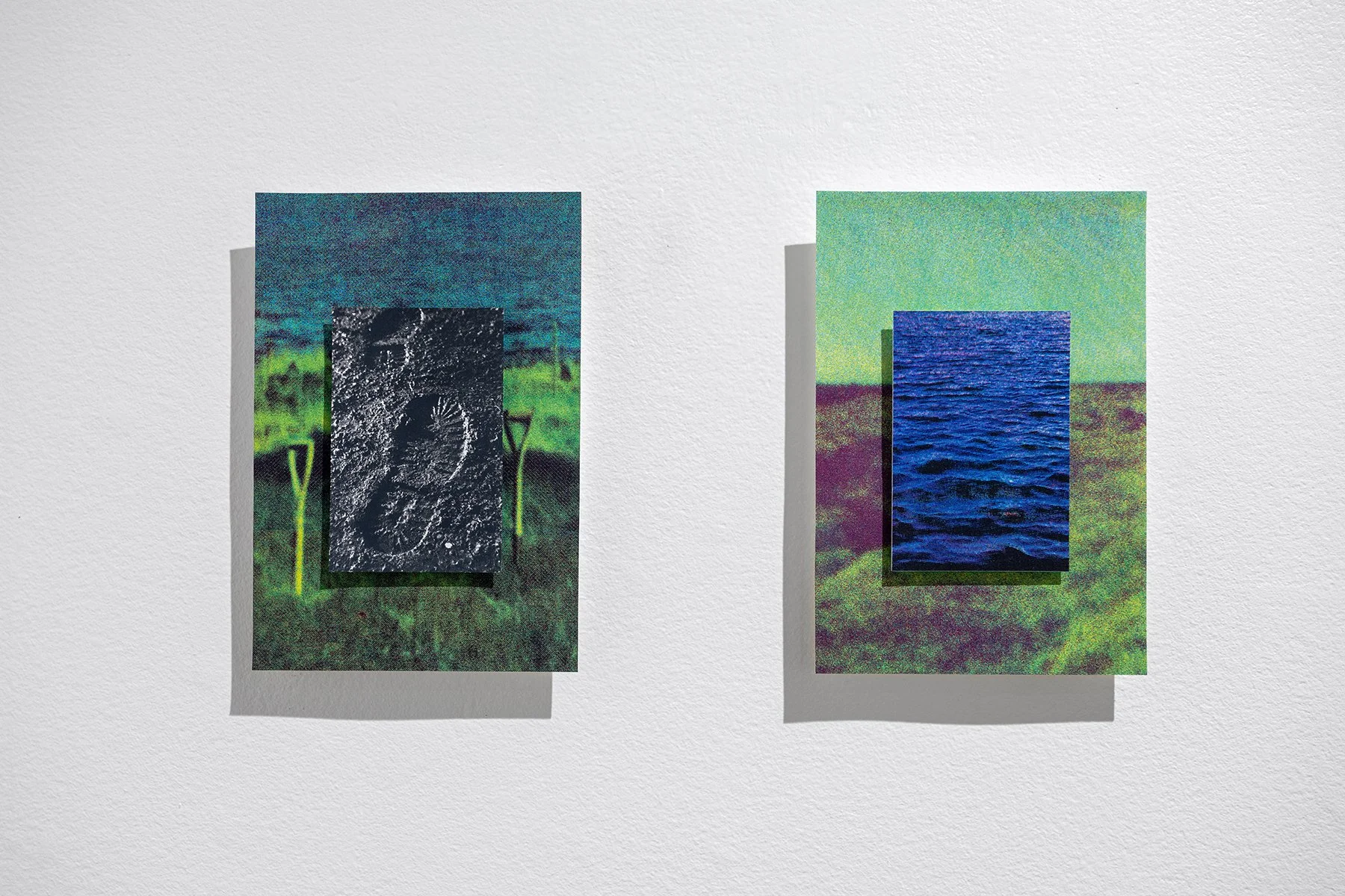 Généalogie I & II
- sérigraphie en quadrichromie sur papier Somerset.