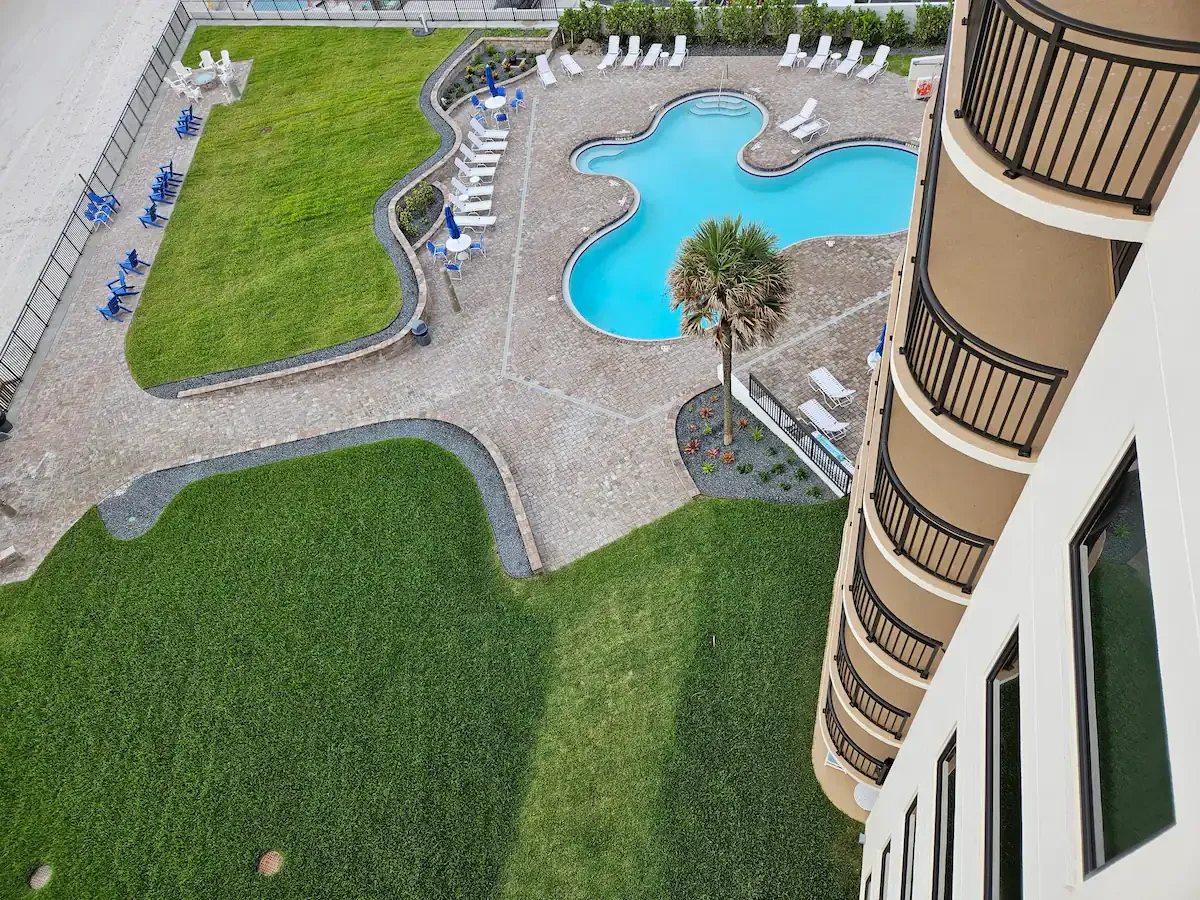 view from above.webp