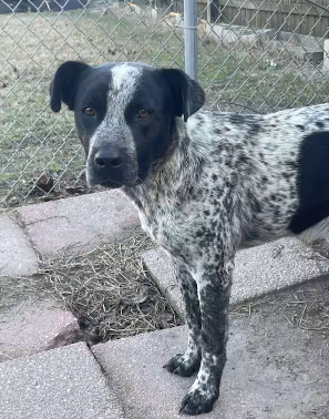 Screenshot 2026-01-03 160659.png