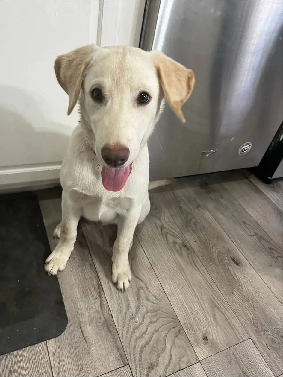 oakley.jpg