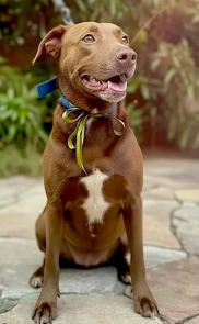 Screenshot 2026-01-15 085022.png