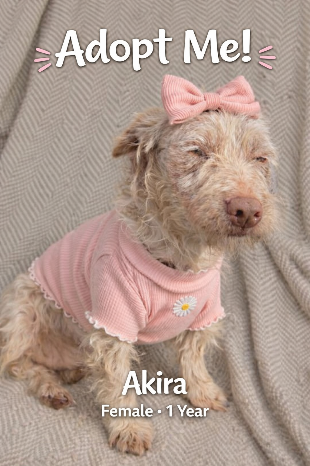 ChatGPT Image Apr 23, 2026, 03_21_06 PM.png